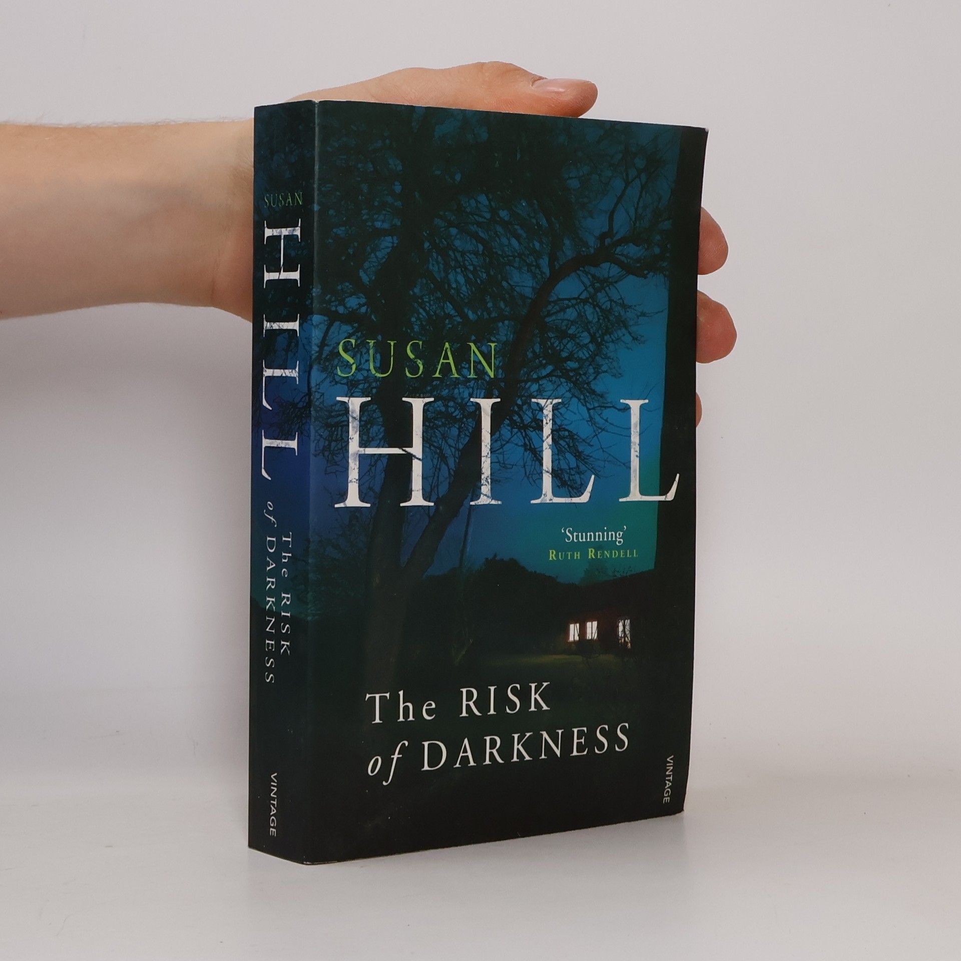 Susan Hill The Risk of Darkness
