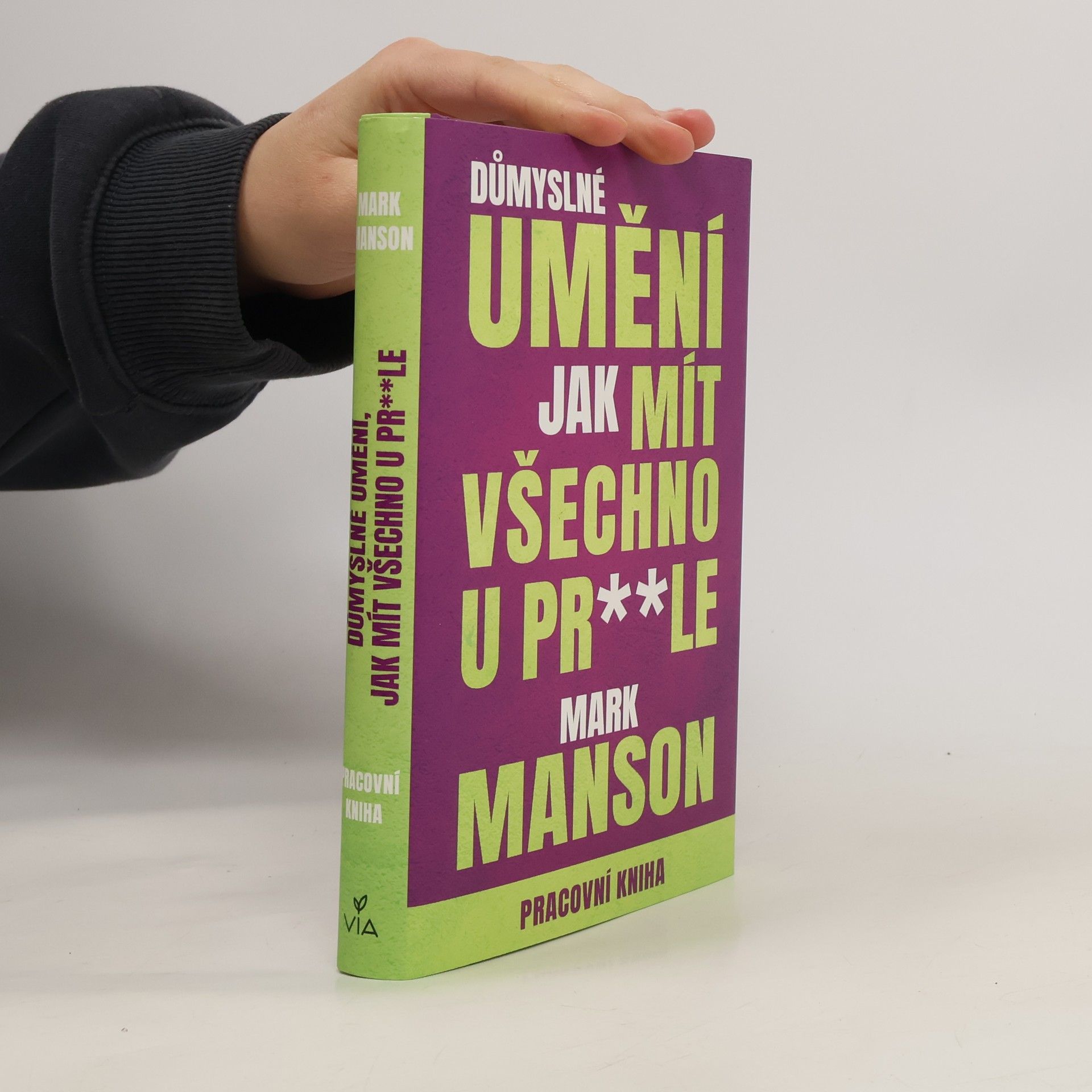 Mark Manson Důmyslné umění, jak mít všechno u pr**le. Pracovní kniha