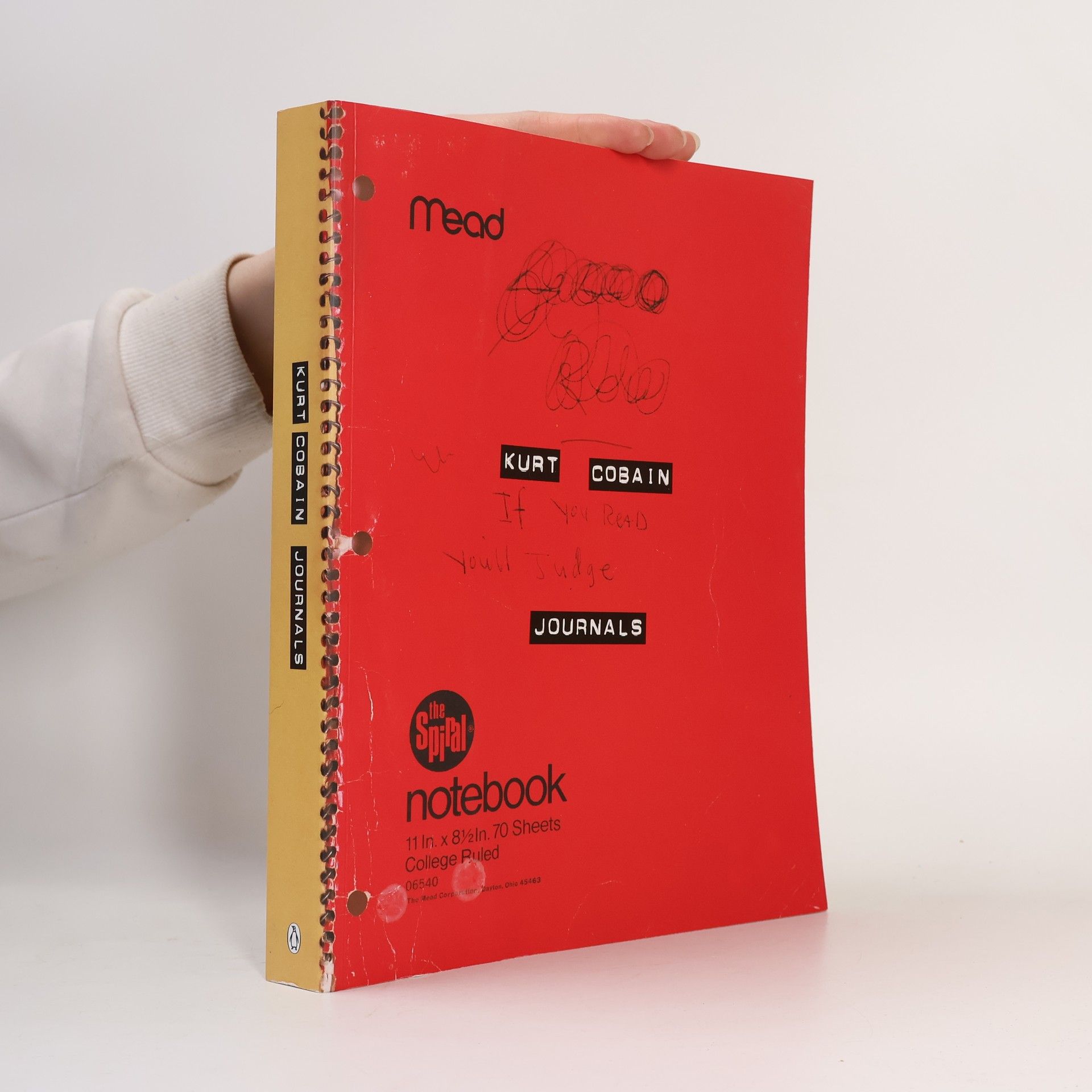 Kurt Cobain Journals