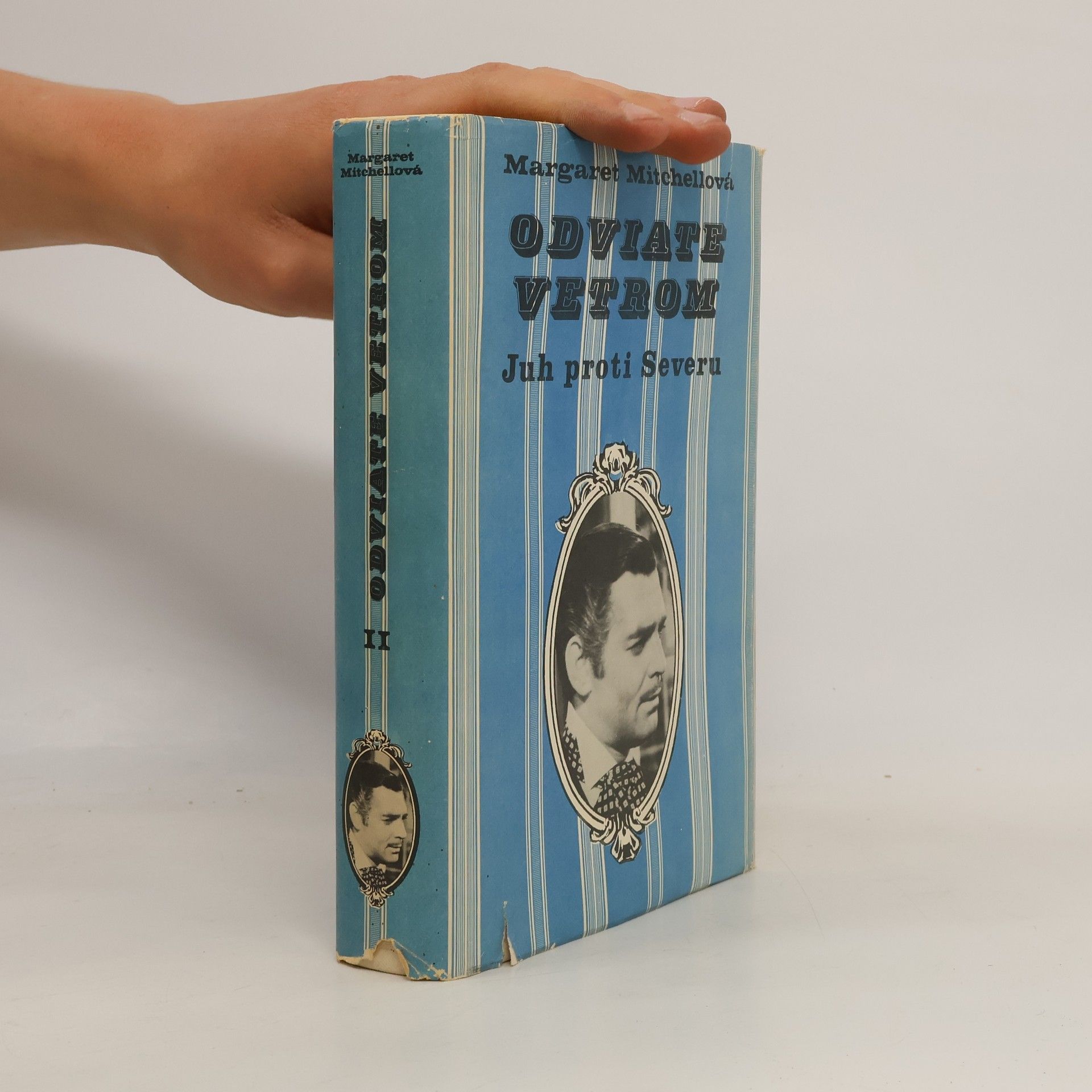 Margaret Mitchell Odviate vetrom. Juh proti Severu II