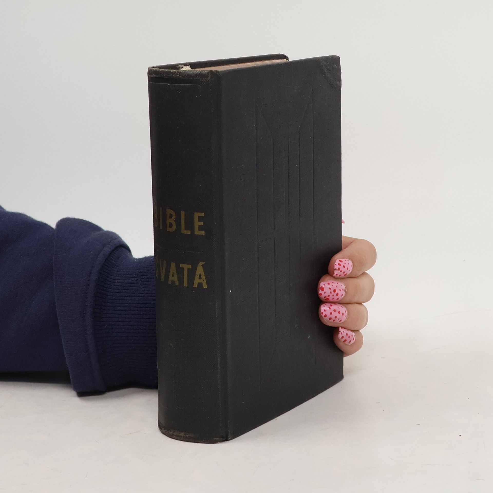 Autorenkollektiv Bible svatá aneb Všecka Svatá písma Starého i Nového zákona