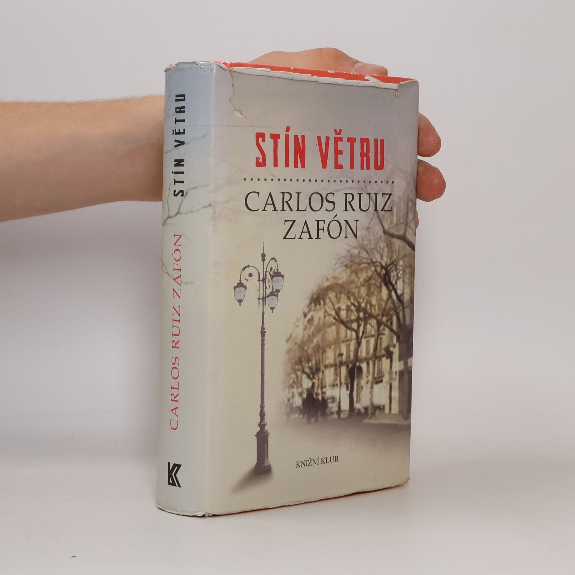 Carlos Ruiz Safon Stín větru