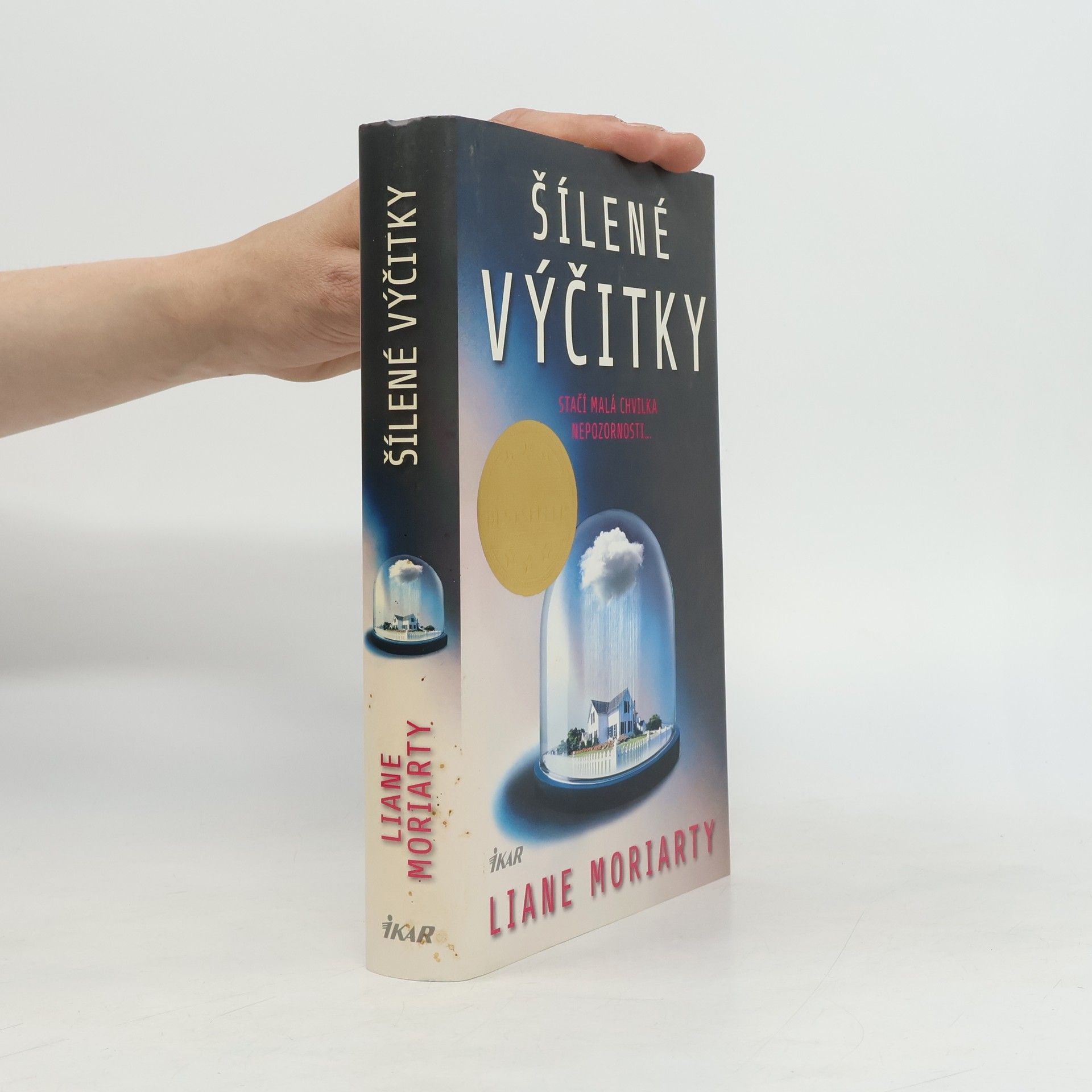 Liane Moriarty Šílené výčitky