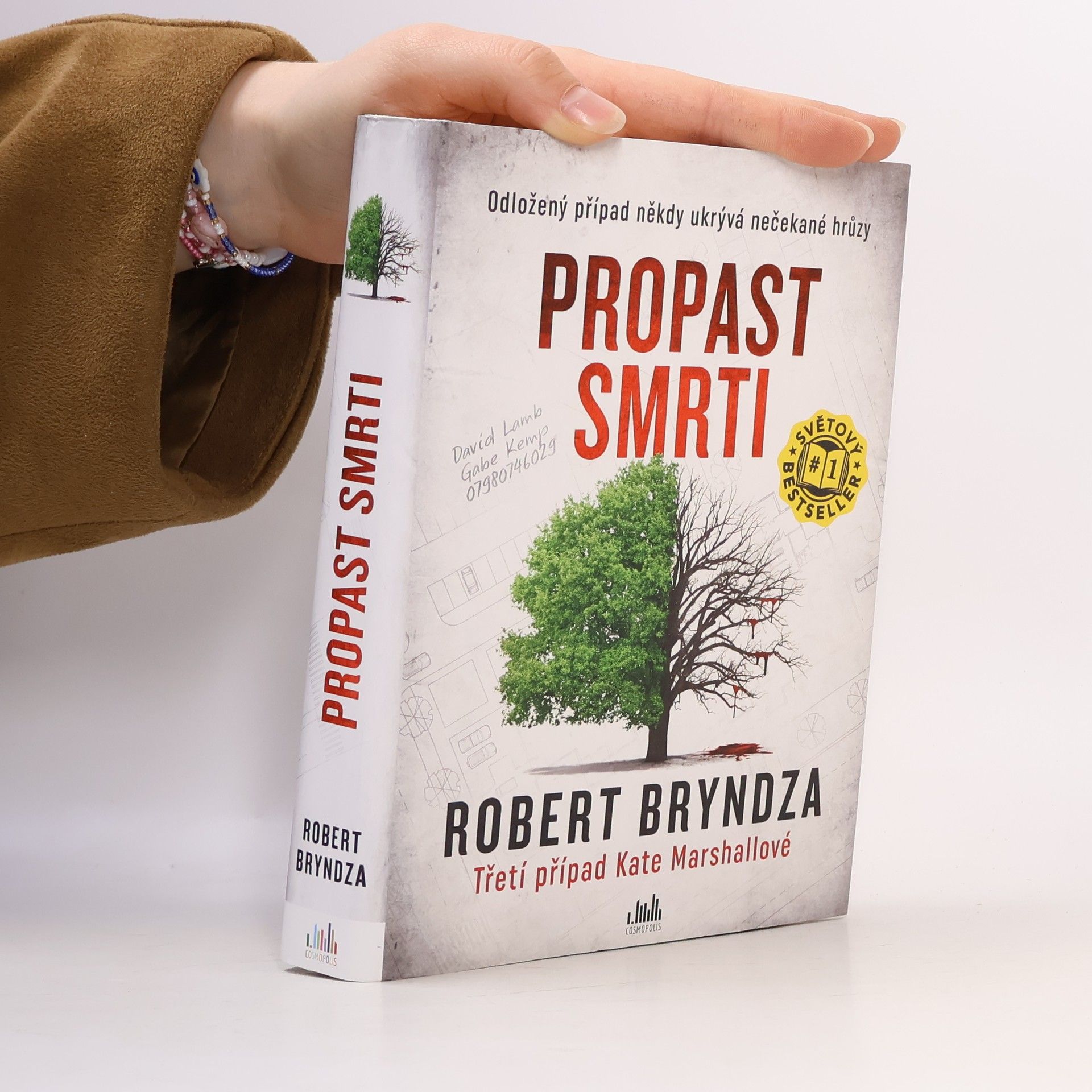 Robert Bryndza Propast smrti
