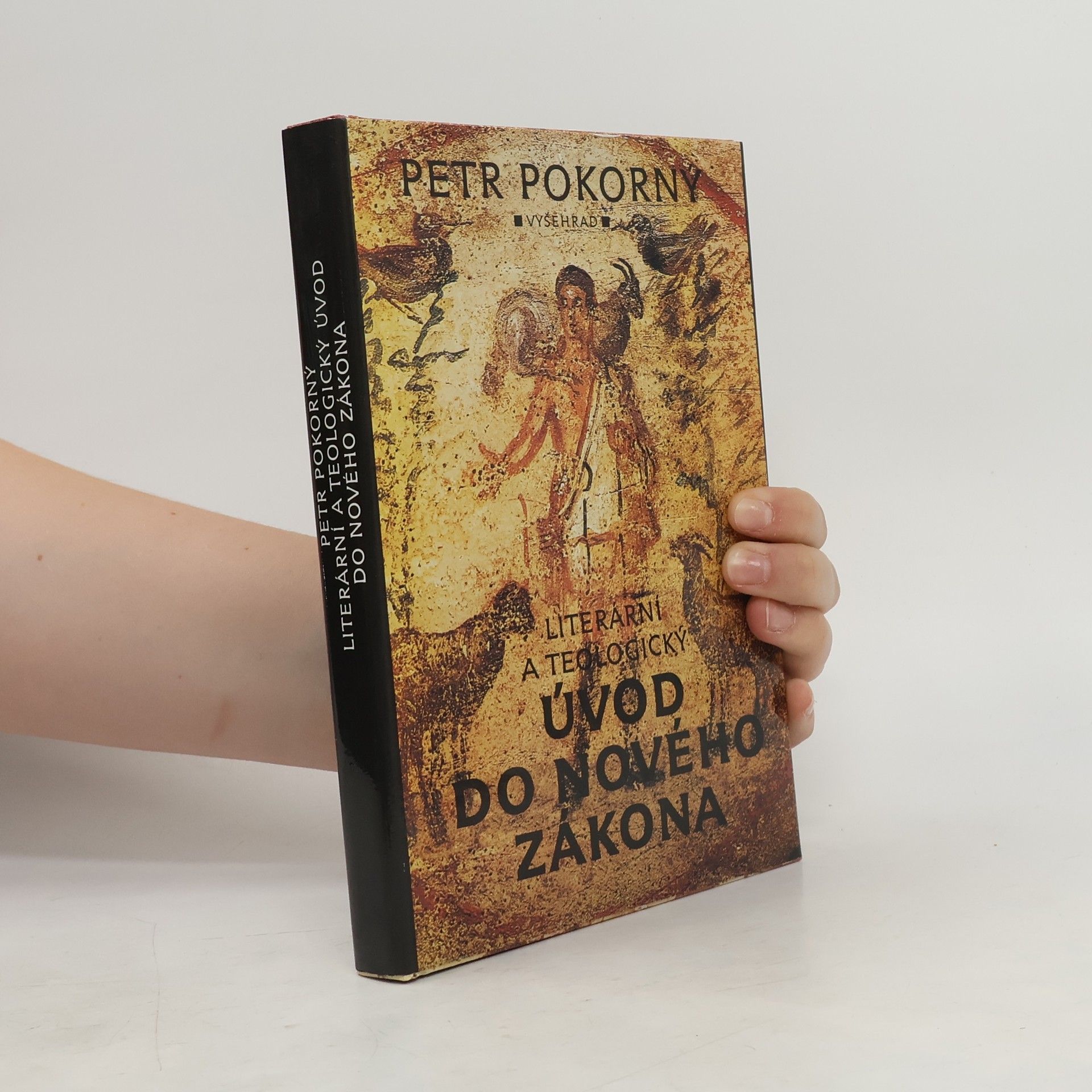 Literární a teologický úvod do Nového zákona