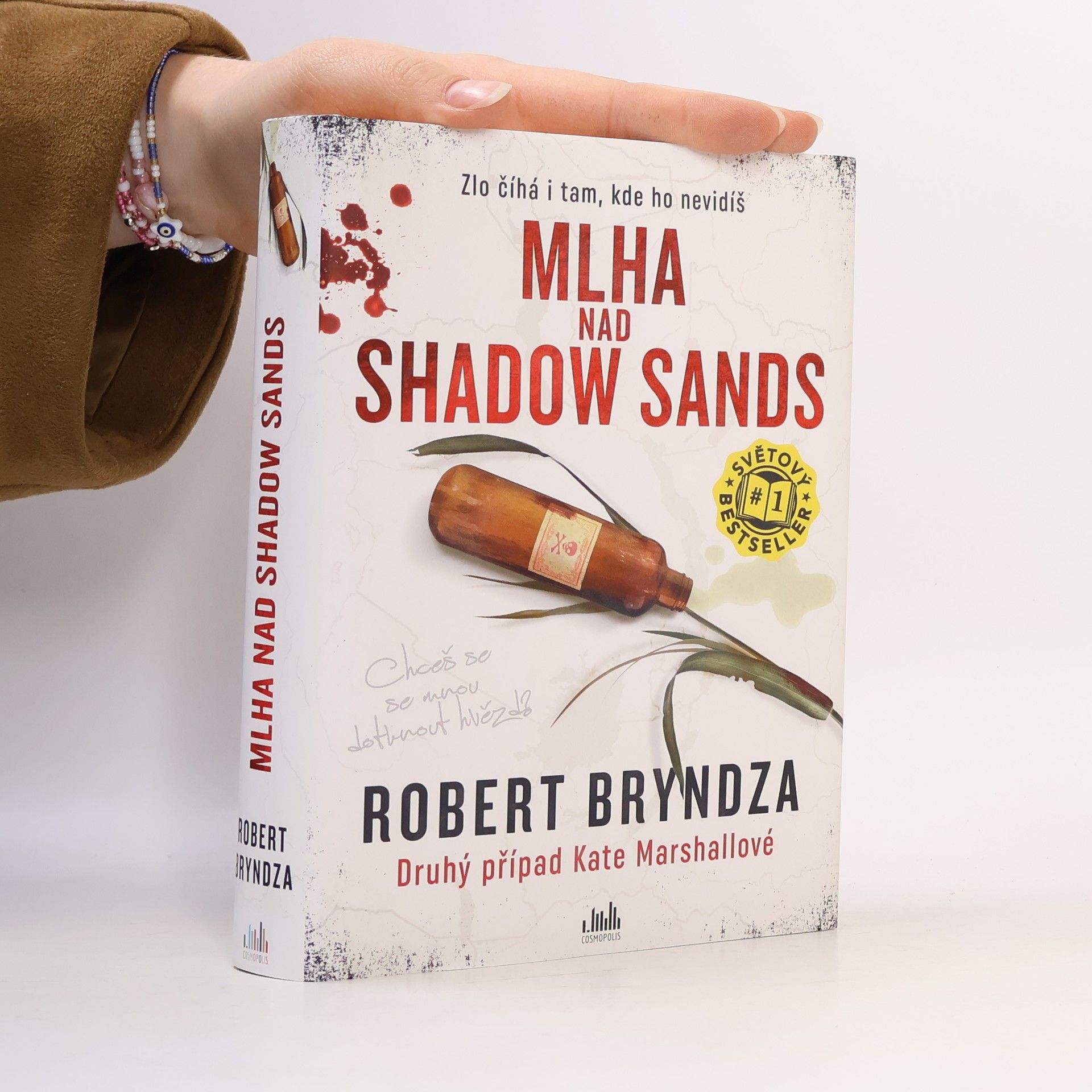 Robert Bryndza Mlha nad Shadow Sands