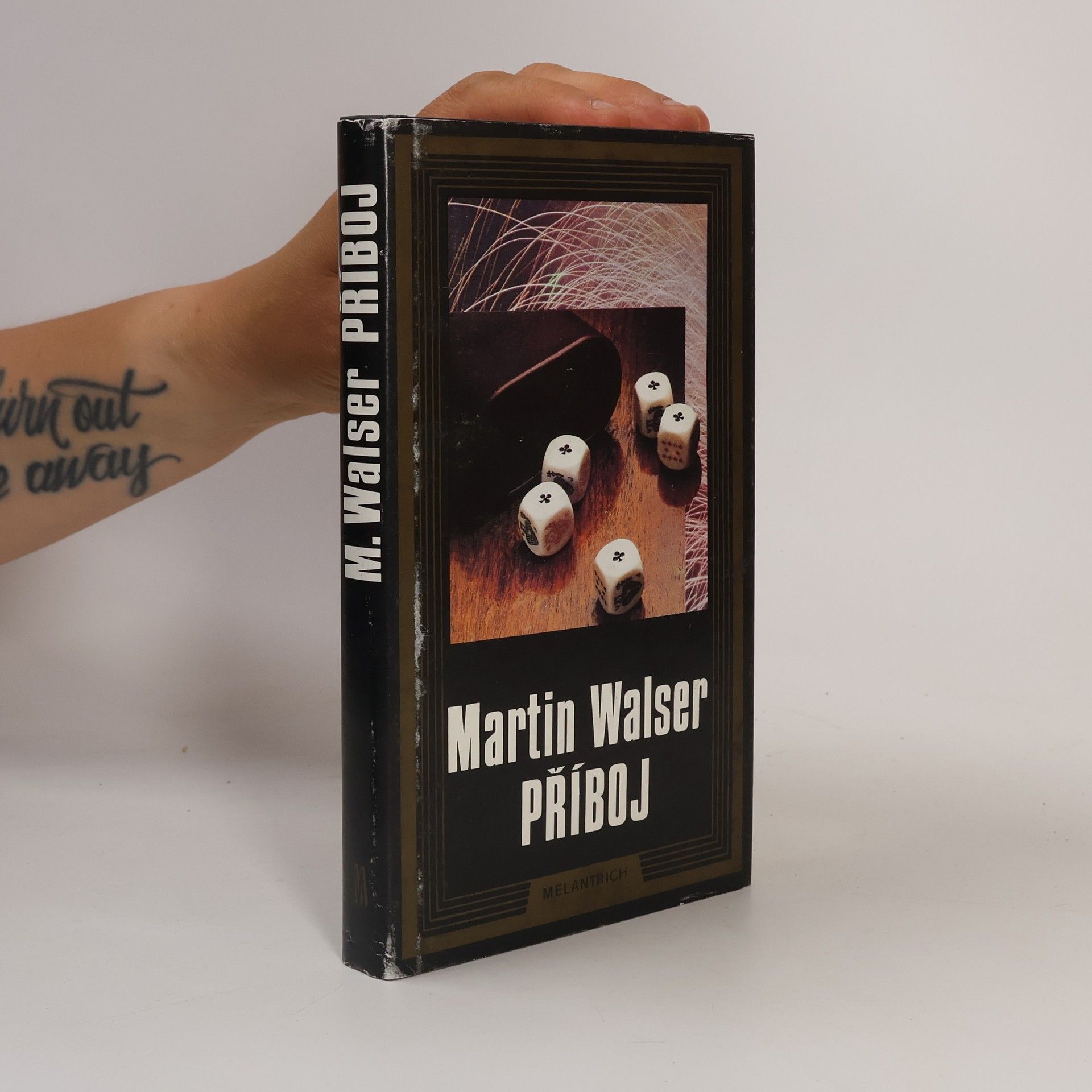 Martin Walser Příboj