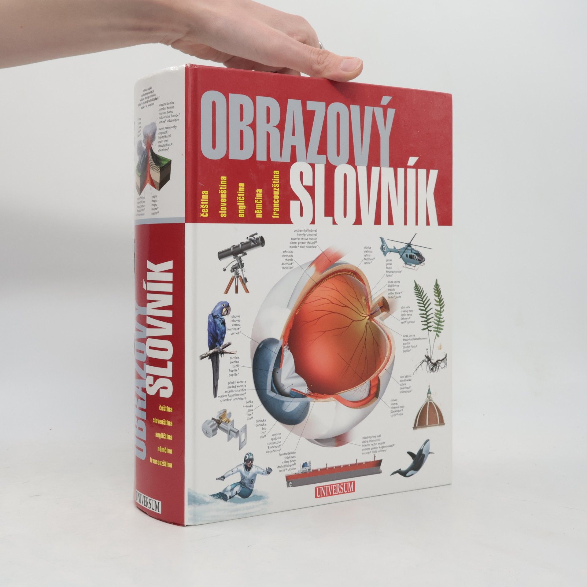 Obrazový slovník : čeština, slovenština, angličtina, němčina, francouzština