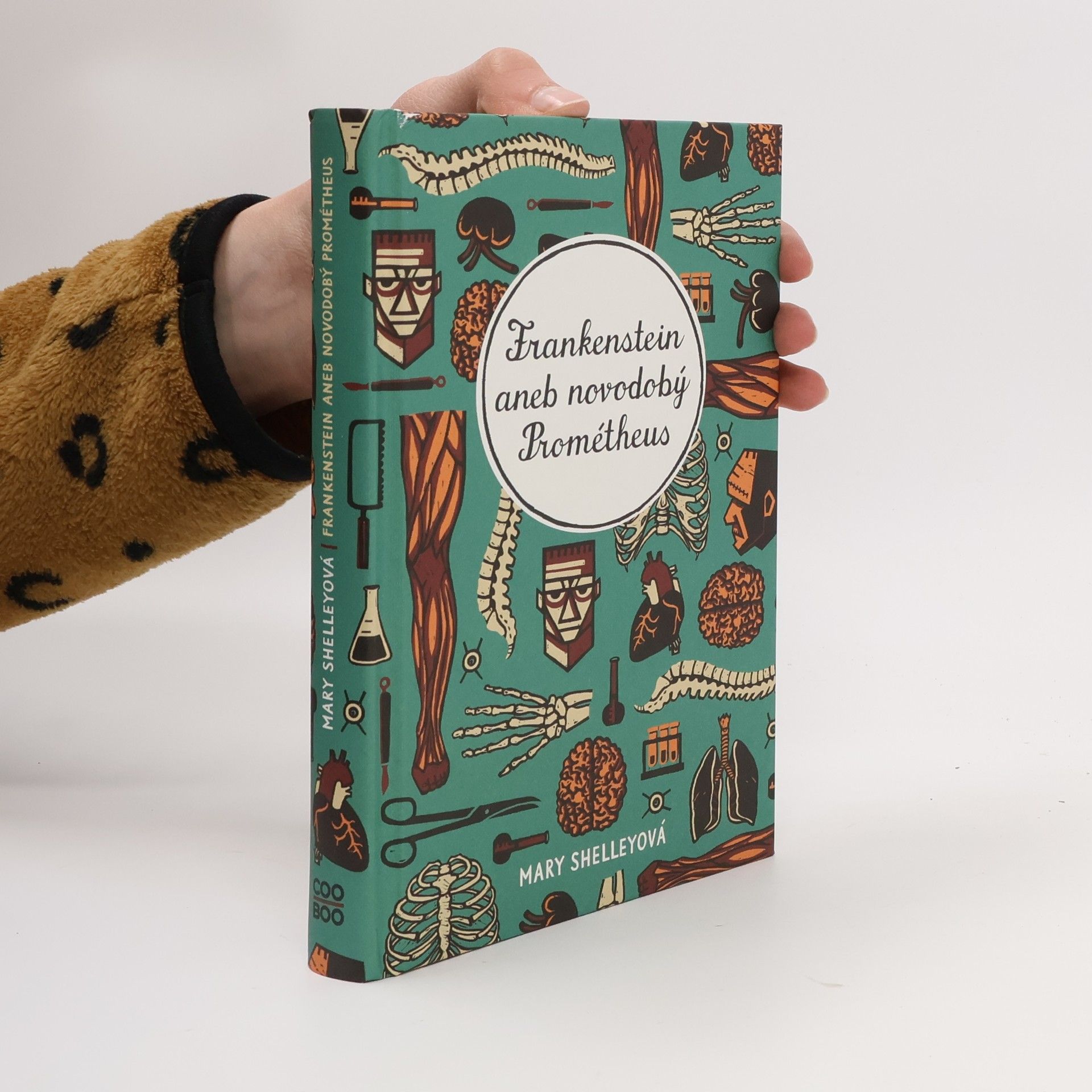 Mary Shelleyová Frankenstein aneb novodobý Prometheus