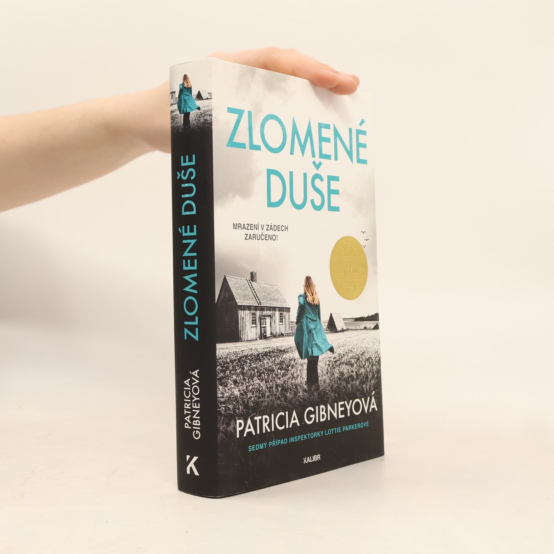 Patricia Gibney Zlomené Duše