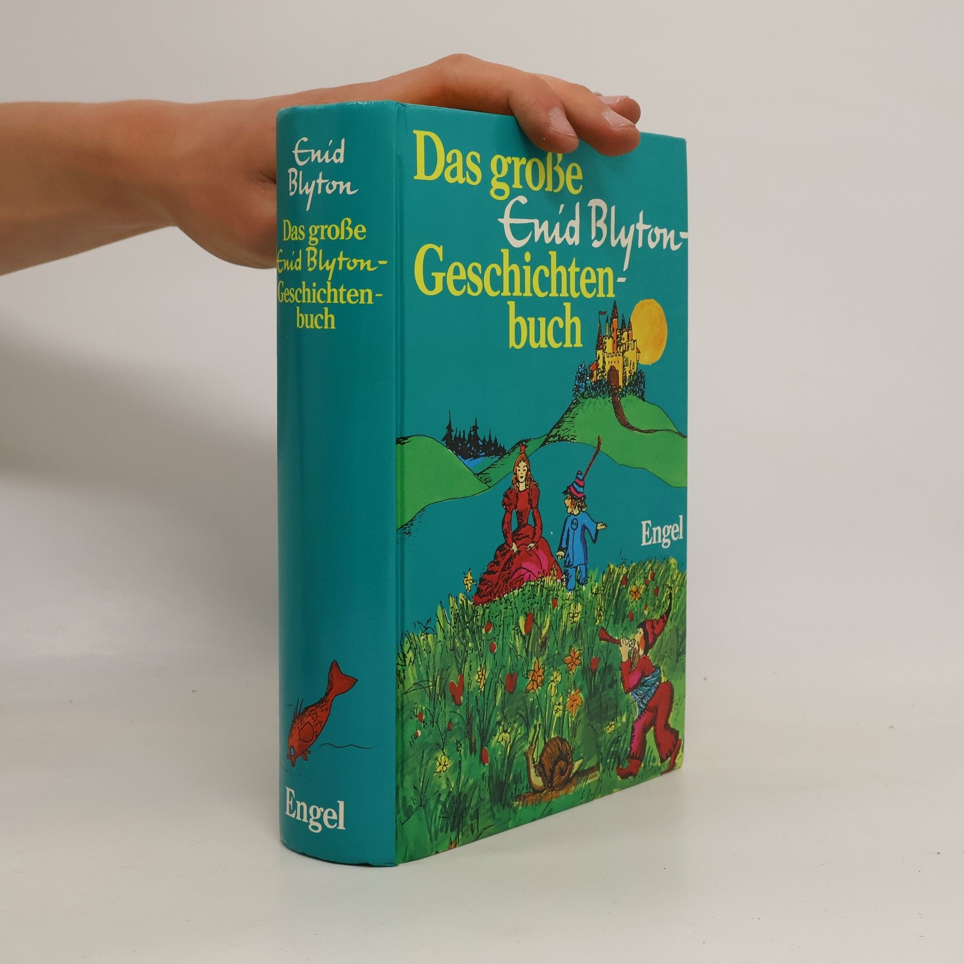 Enid Blyton Das große Enid Blyton-Geschichtenbuch