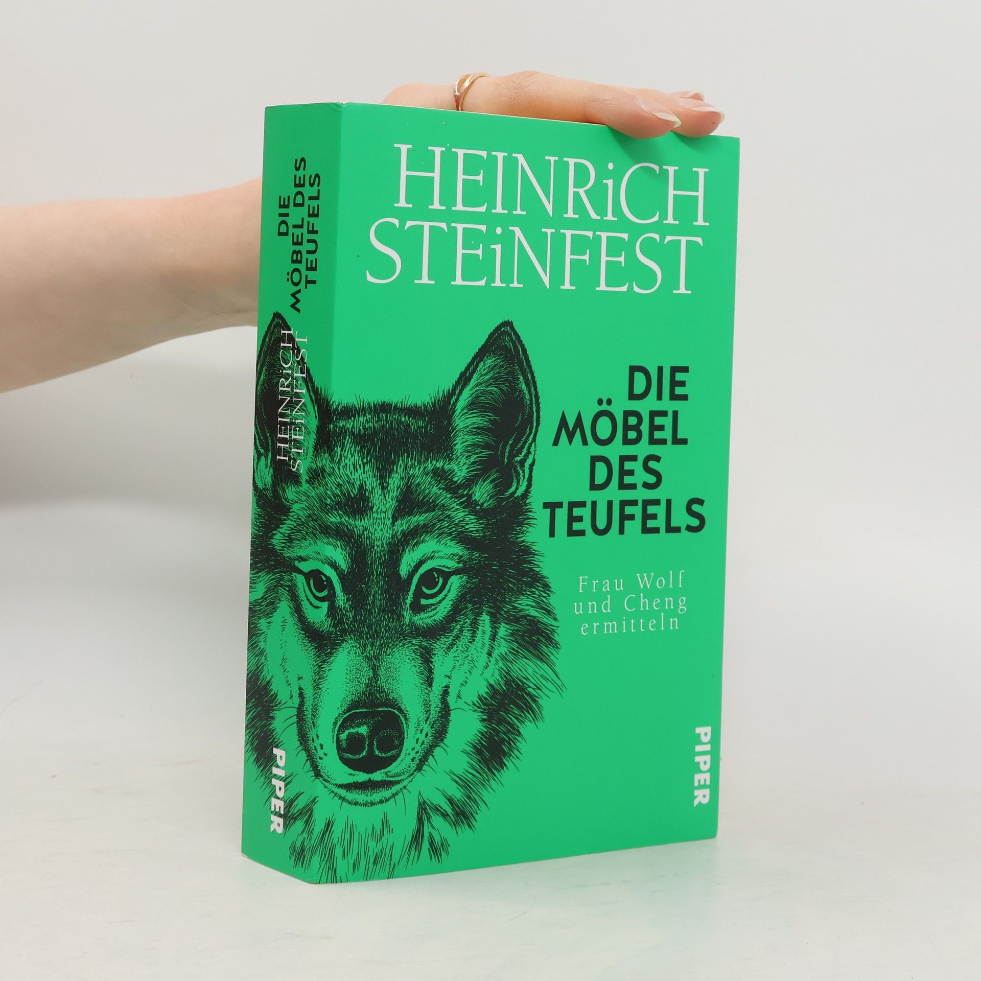 Heinrich Steinfest Die Möbel des Teufels