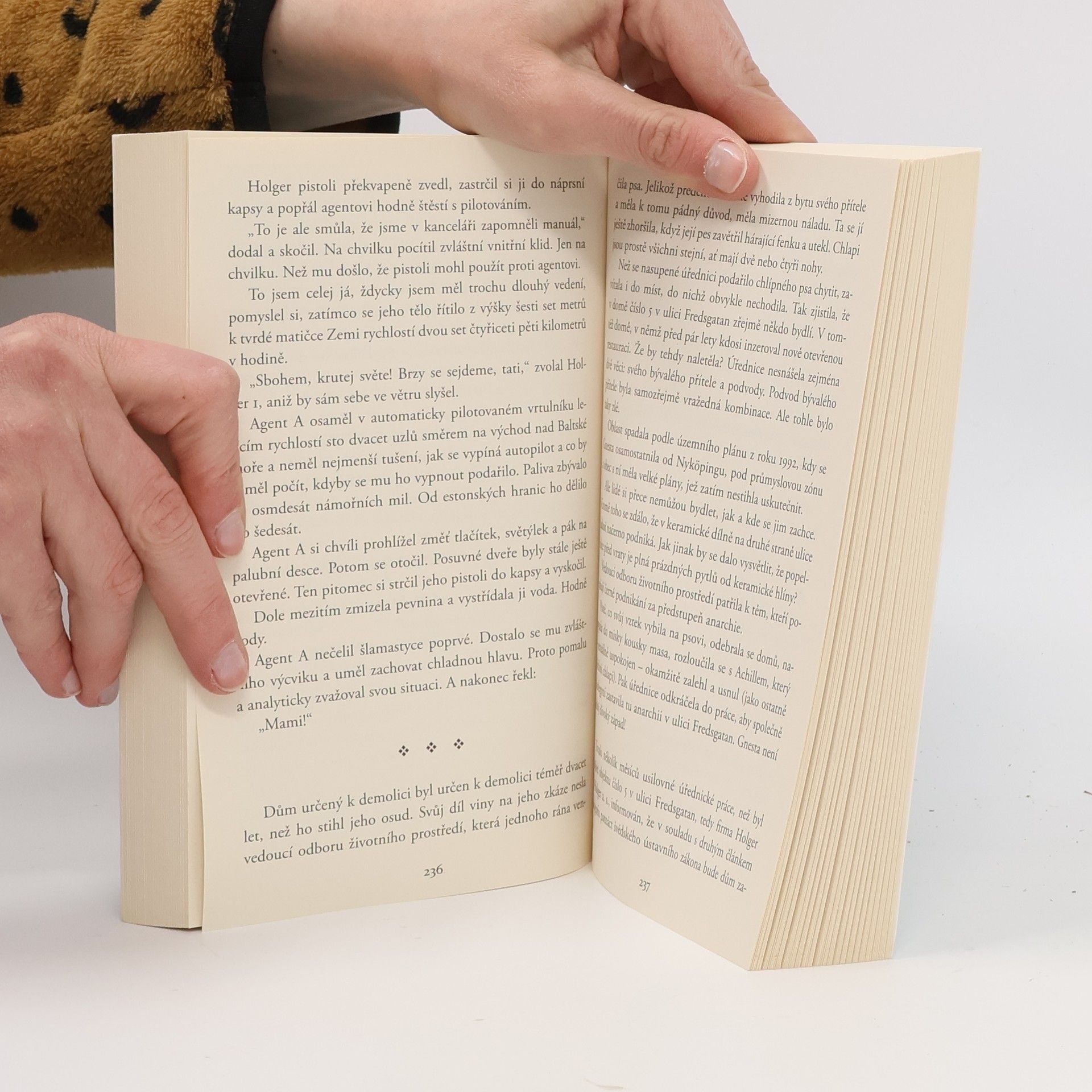 Jonas Jonasson Analfabetka, která uměla počítat
