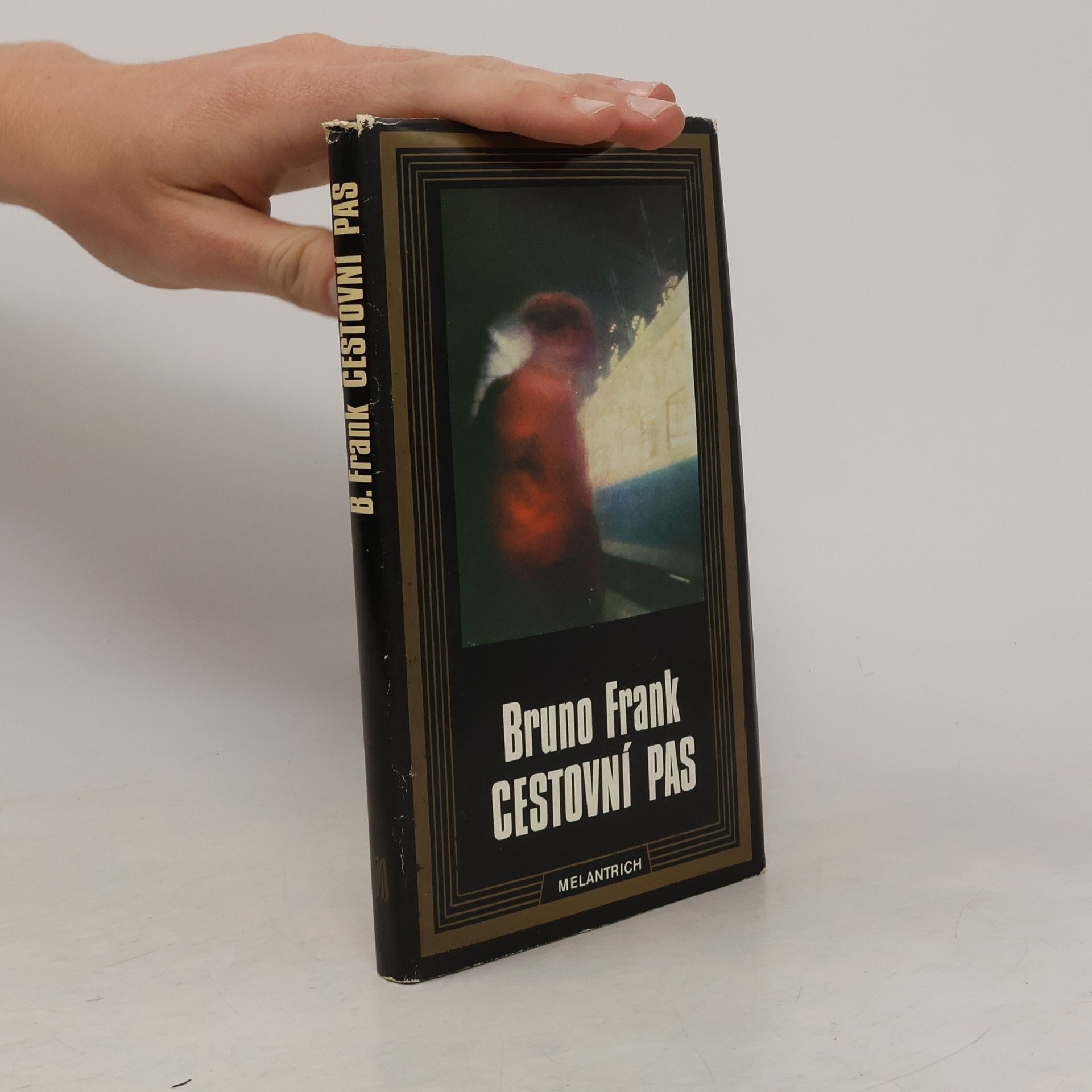 Bruno Frank Cestovní pas