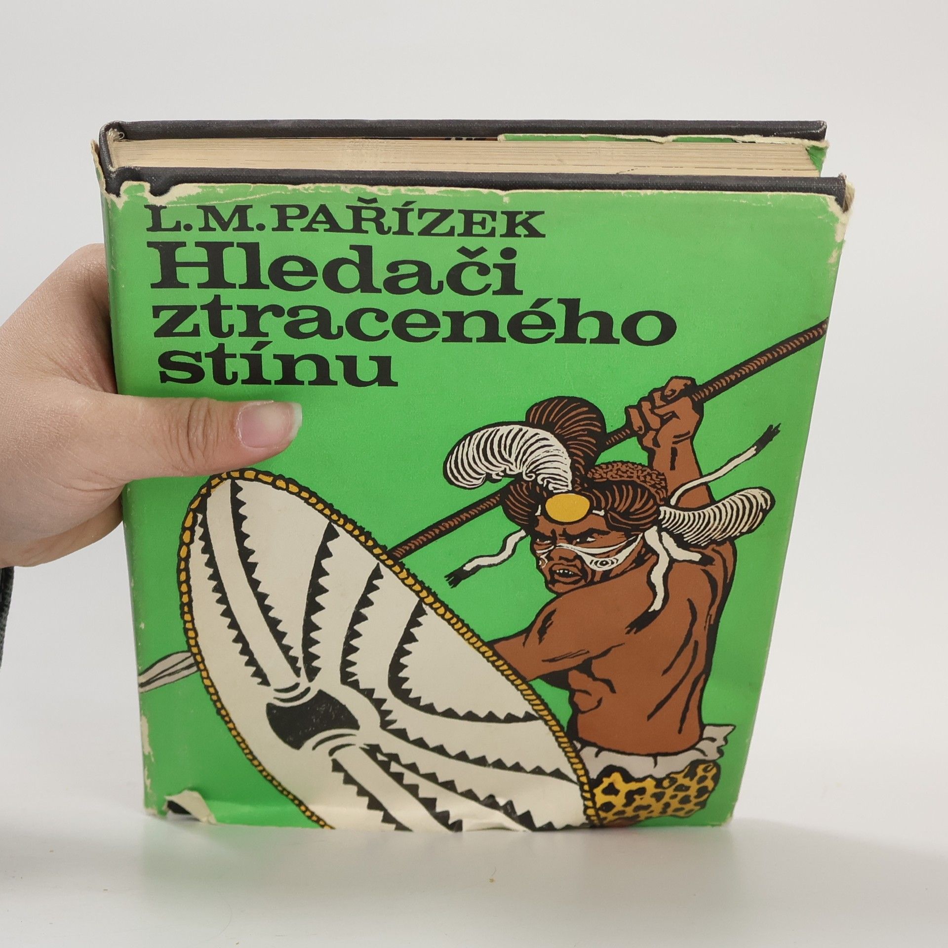 Ladislav Mikeš Pařízek Hledači ztraceného stínu