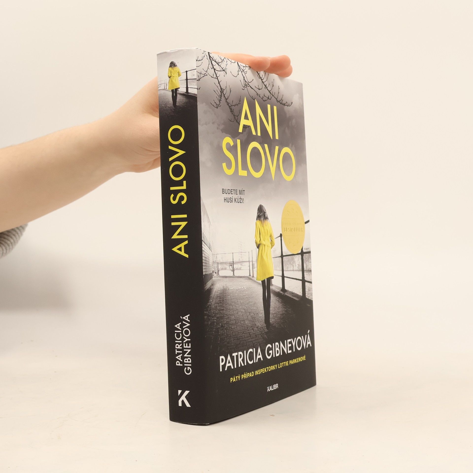 Patricia Gibney Ani slovo
