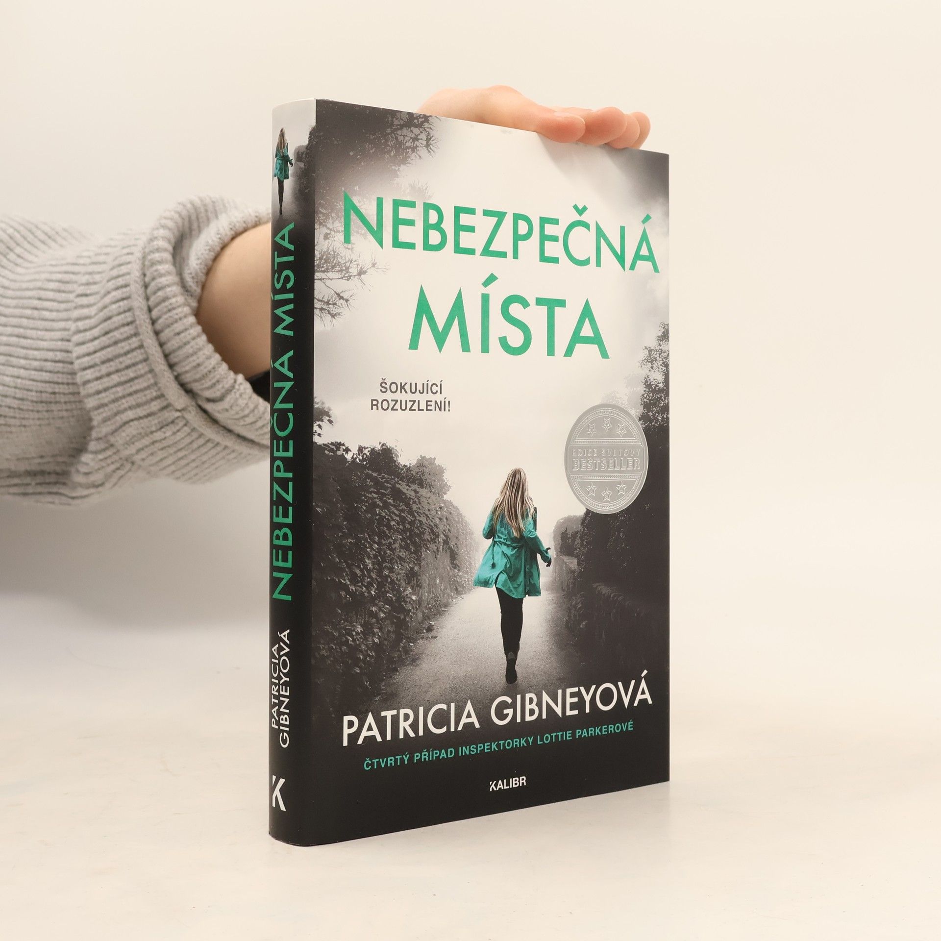 Patricia Gibney Nebezpečná místa