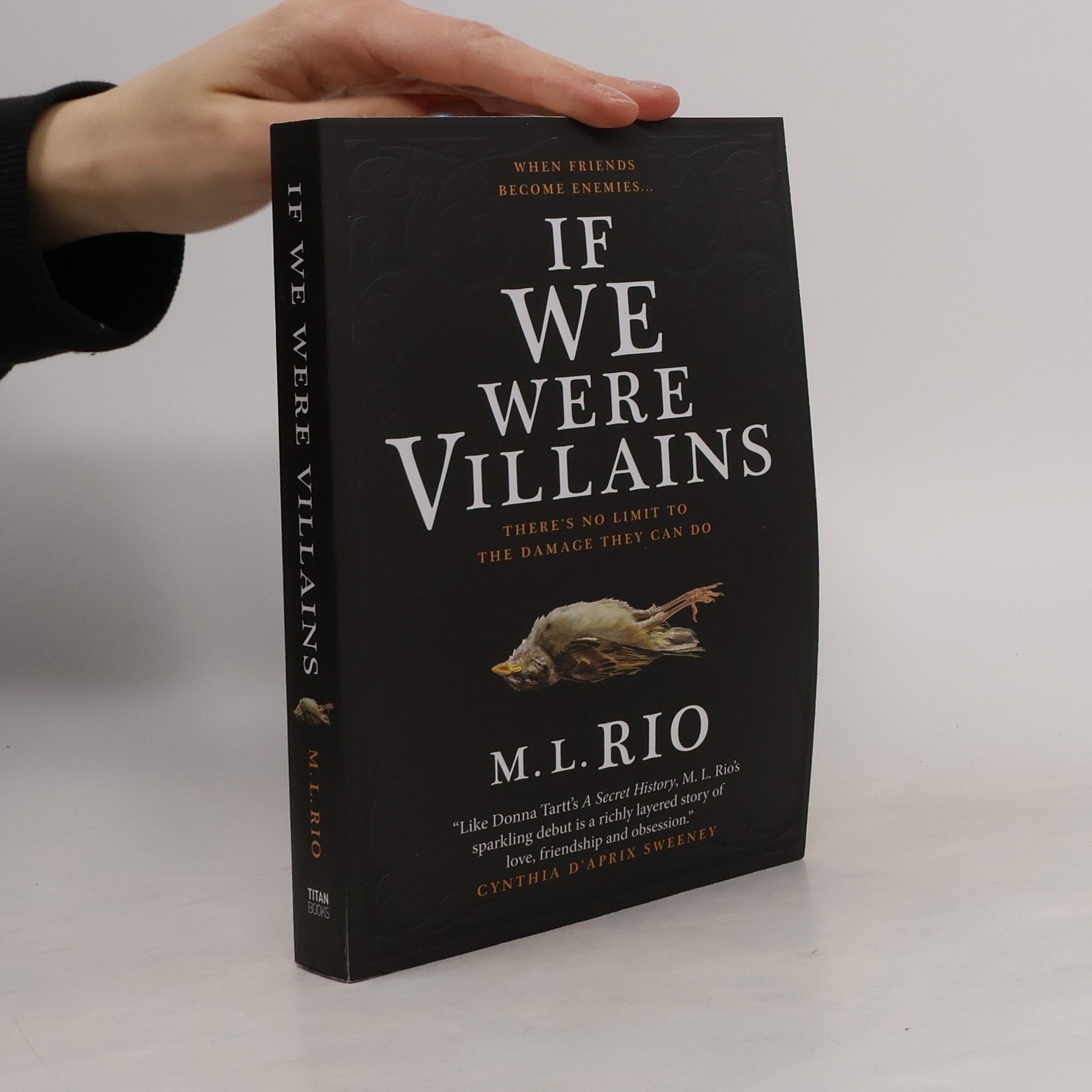 M. L. Rio If We Were Villains