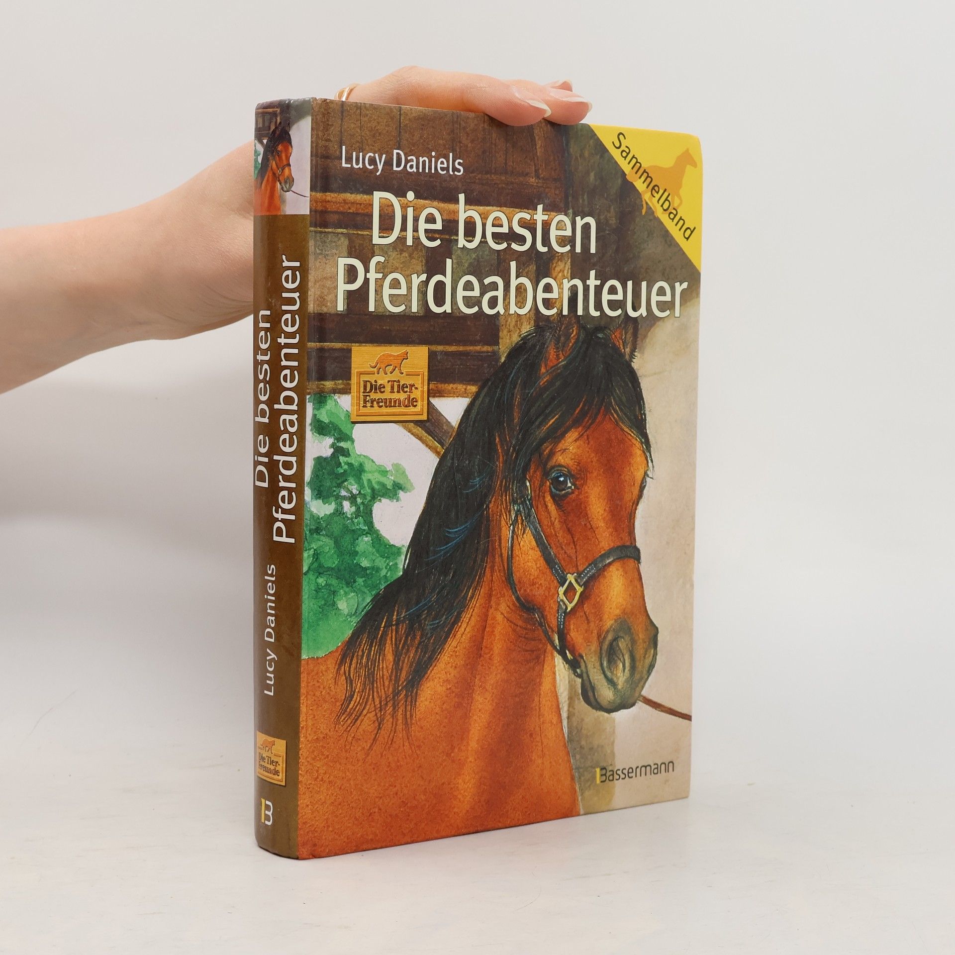 Lucy Daniels Die besten Pferdeabenteuer