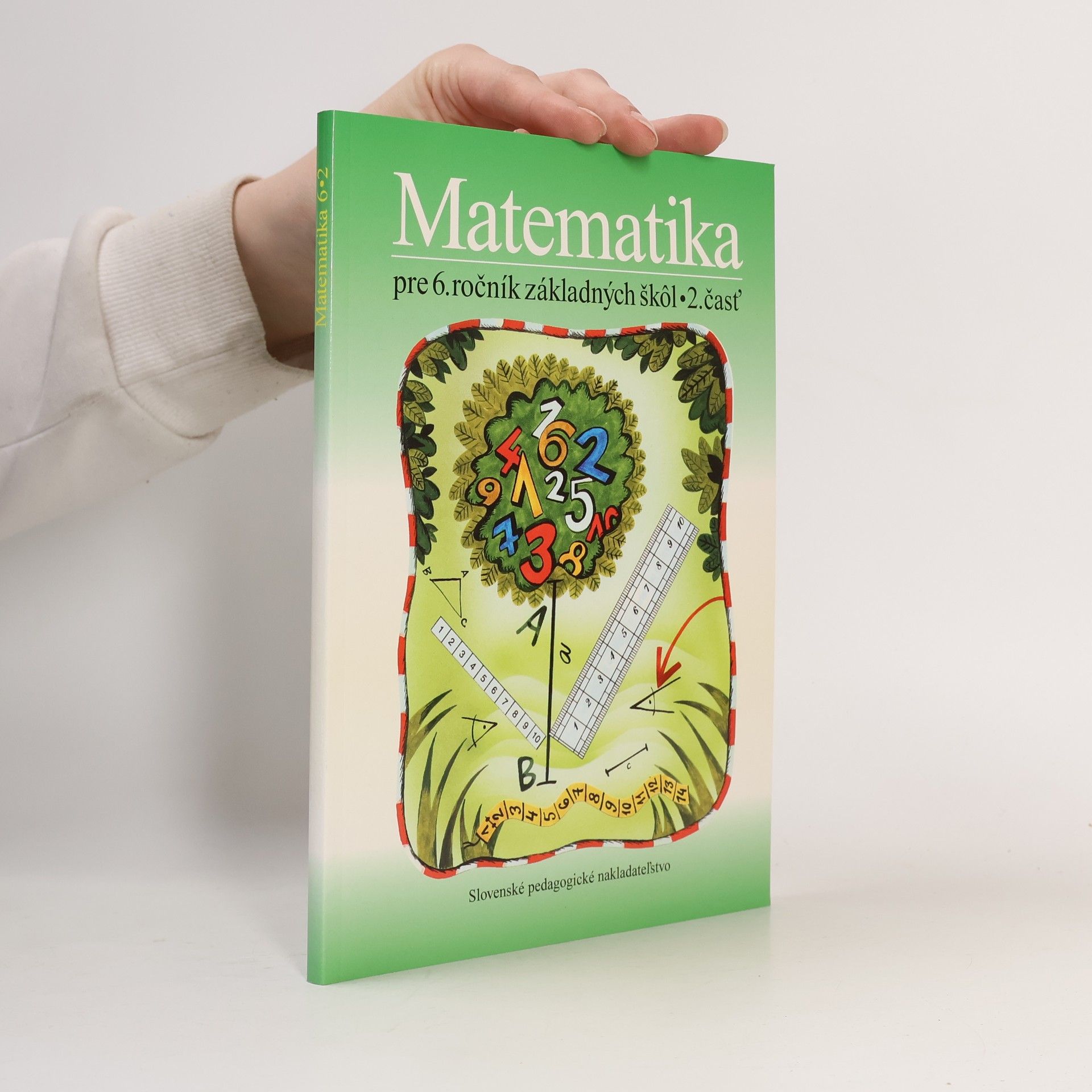 Matematika pre 6. ročník základných škôl, 2. časť