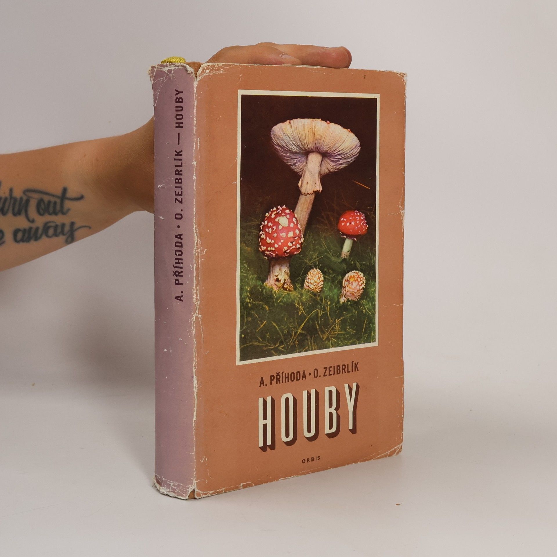 Antonín Příhoda Houby