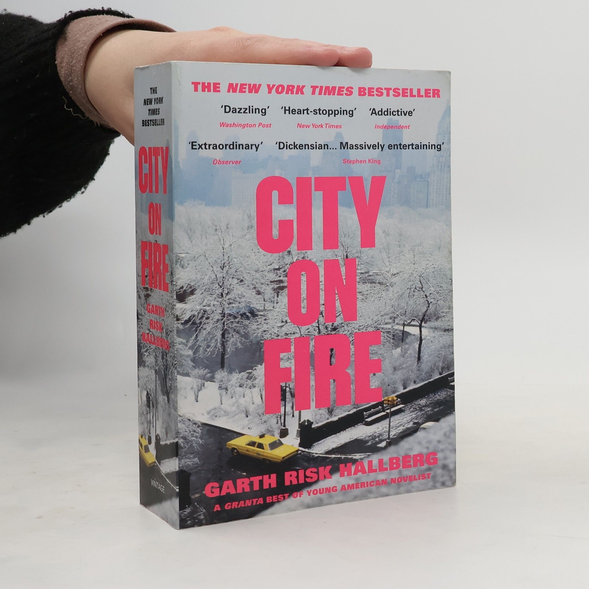 Garth Risk Hallberg City on Fire