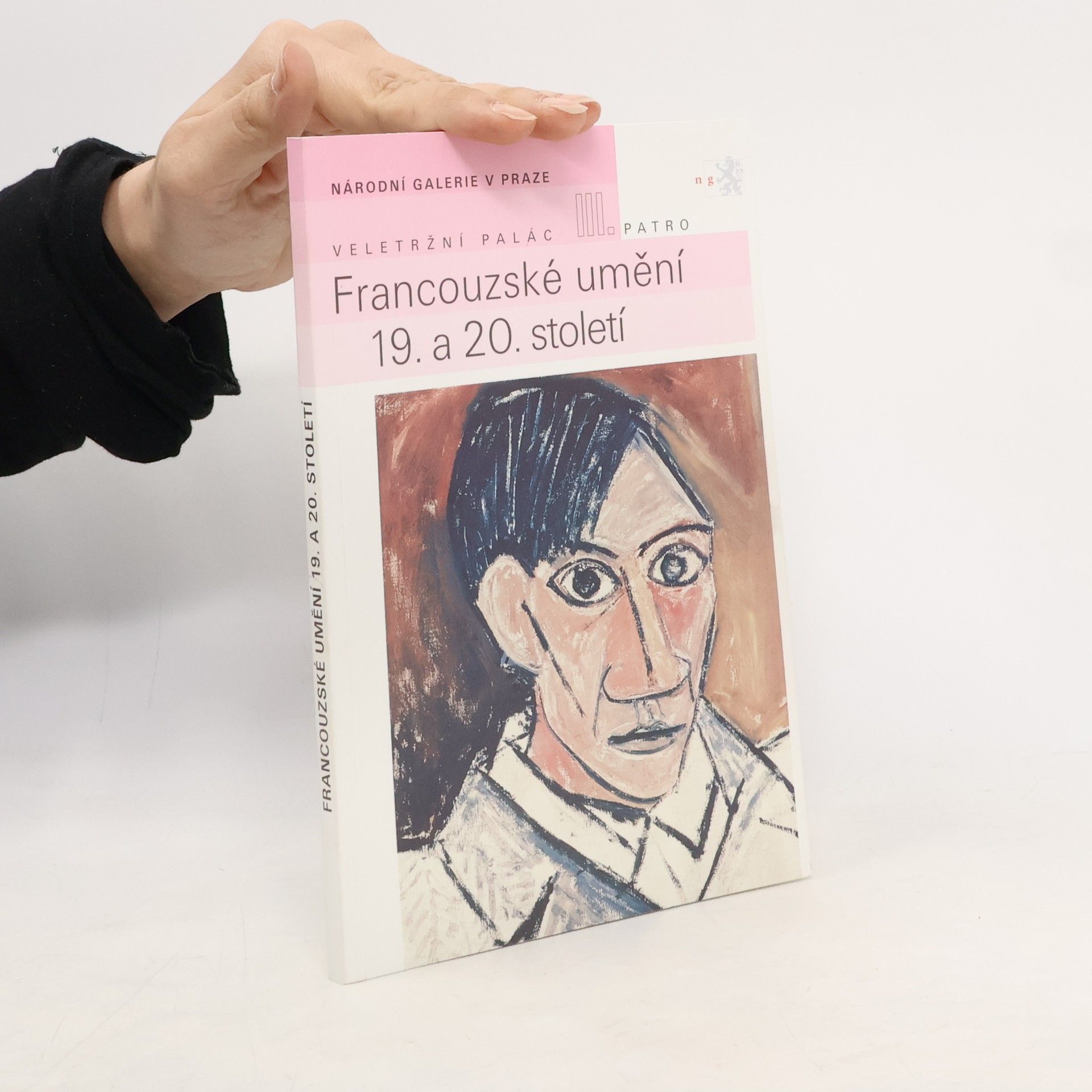 Autorenkollektiv Francouzské umění 19. a 20. století