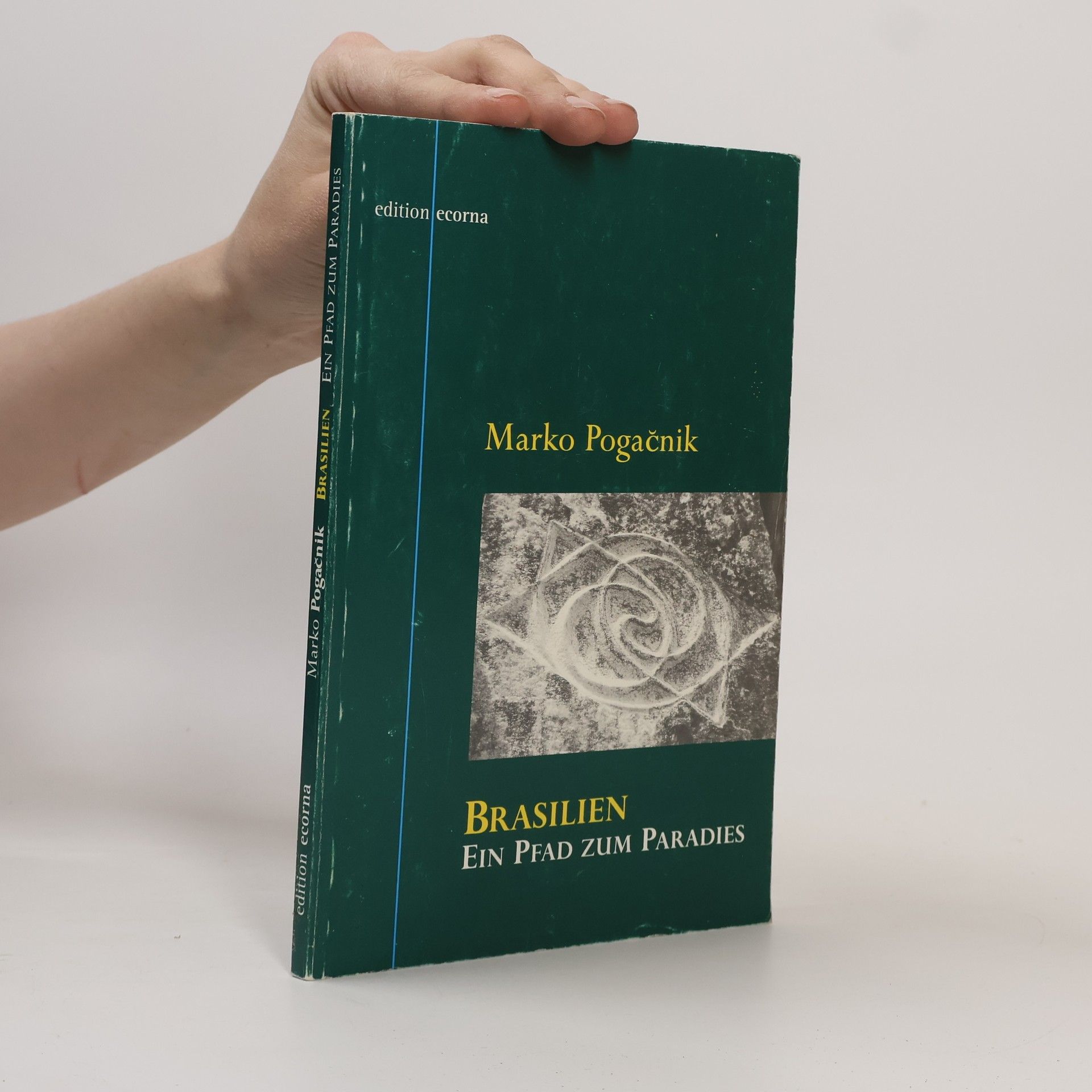 Marko Pogačnik Brasilien