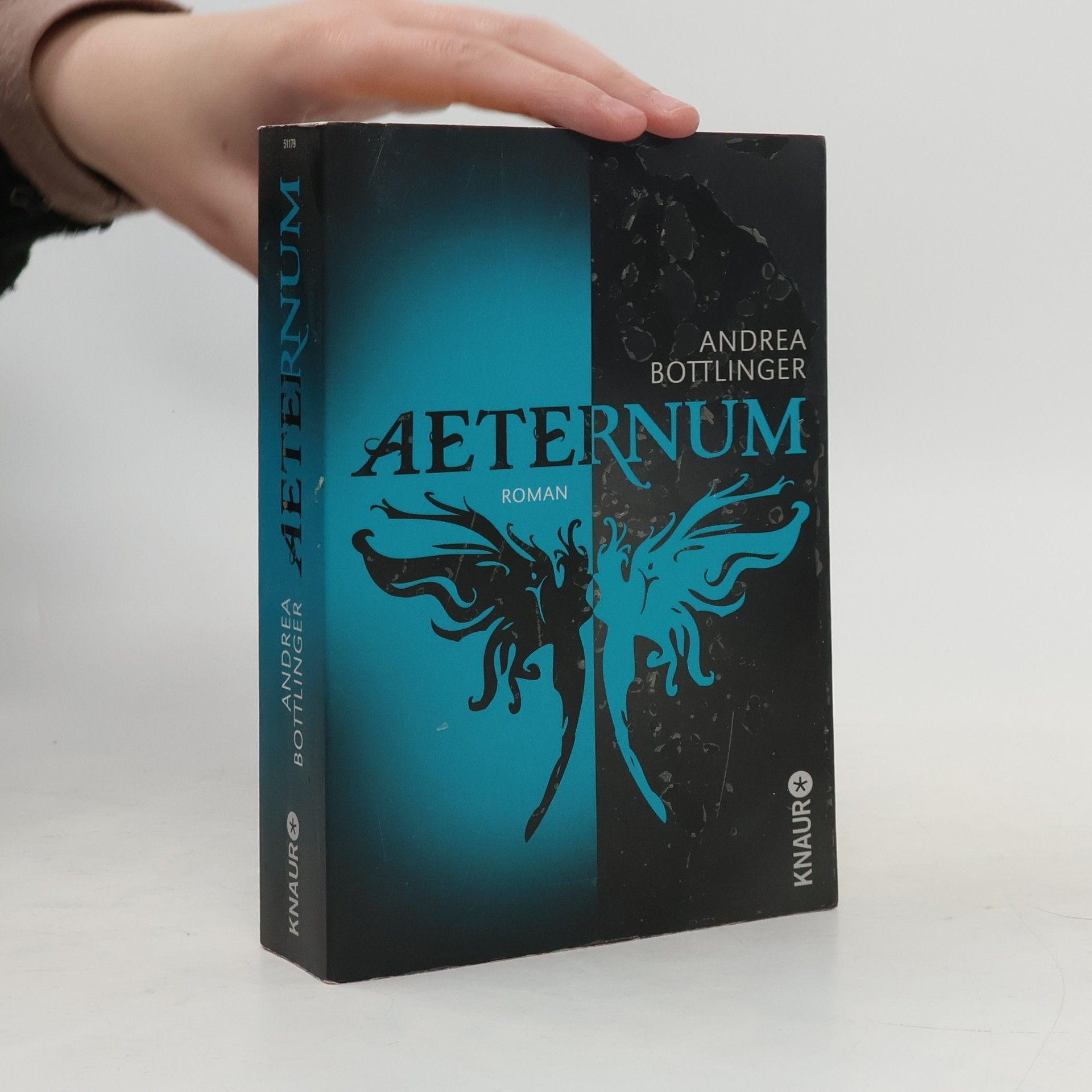 Andrea Bottlinger Aeternum