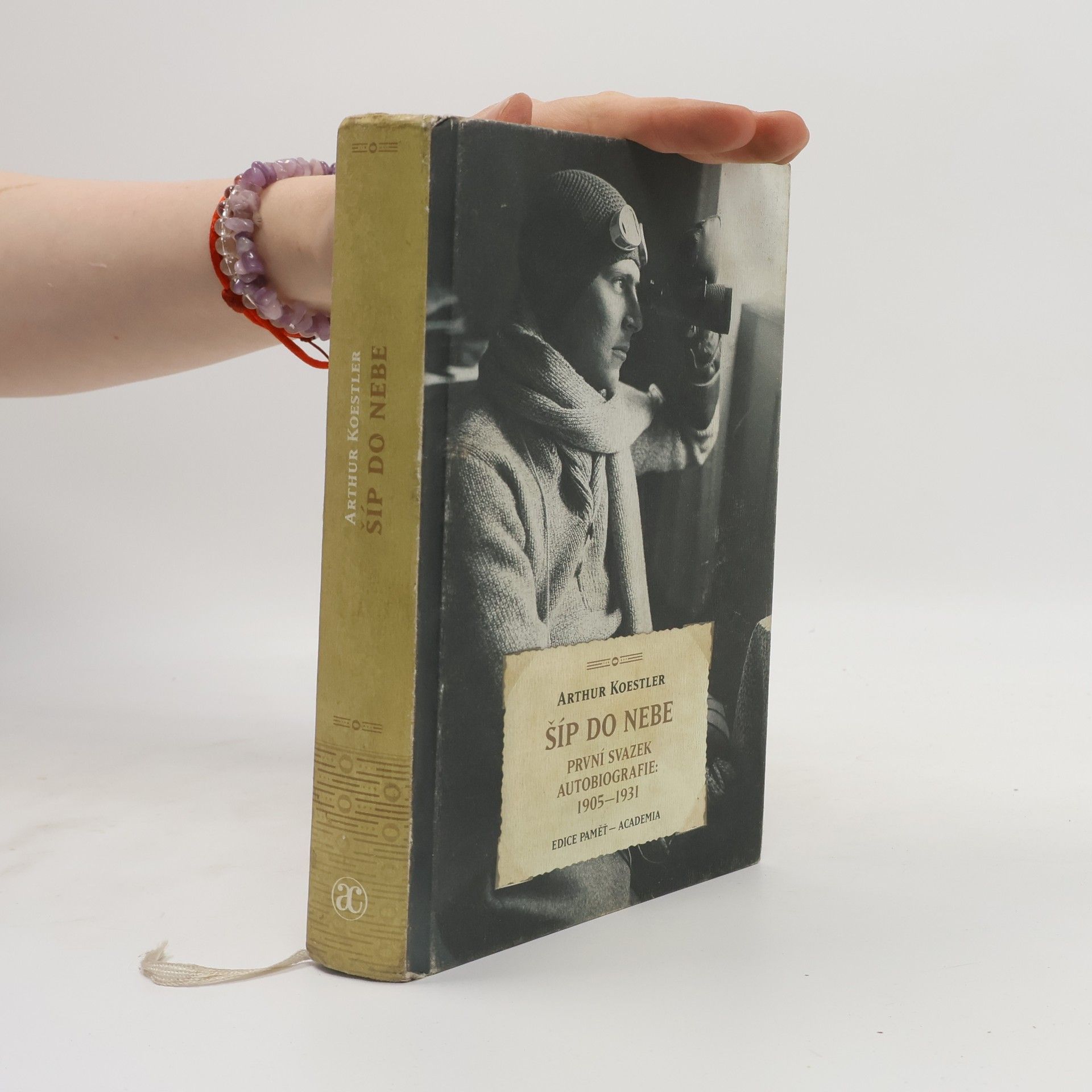 Petruška Šustrová Šíp do nebe. Svazek I.