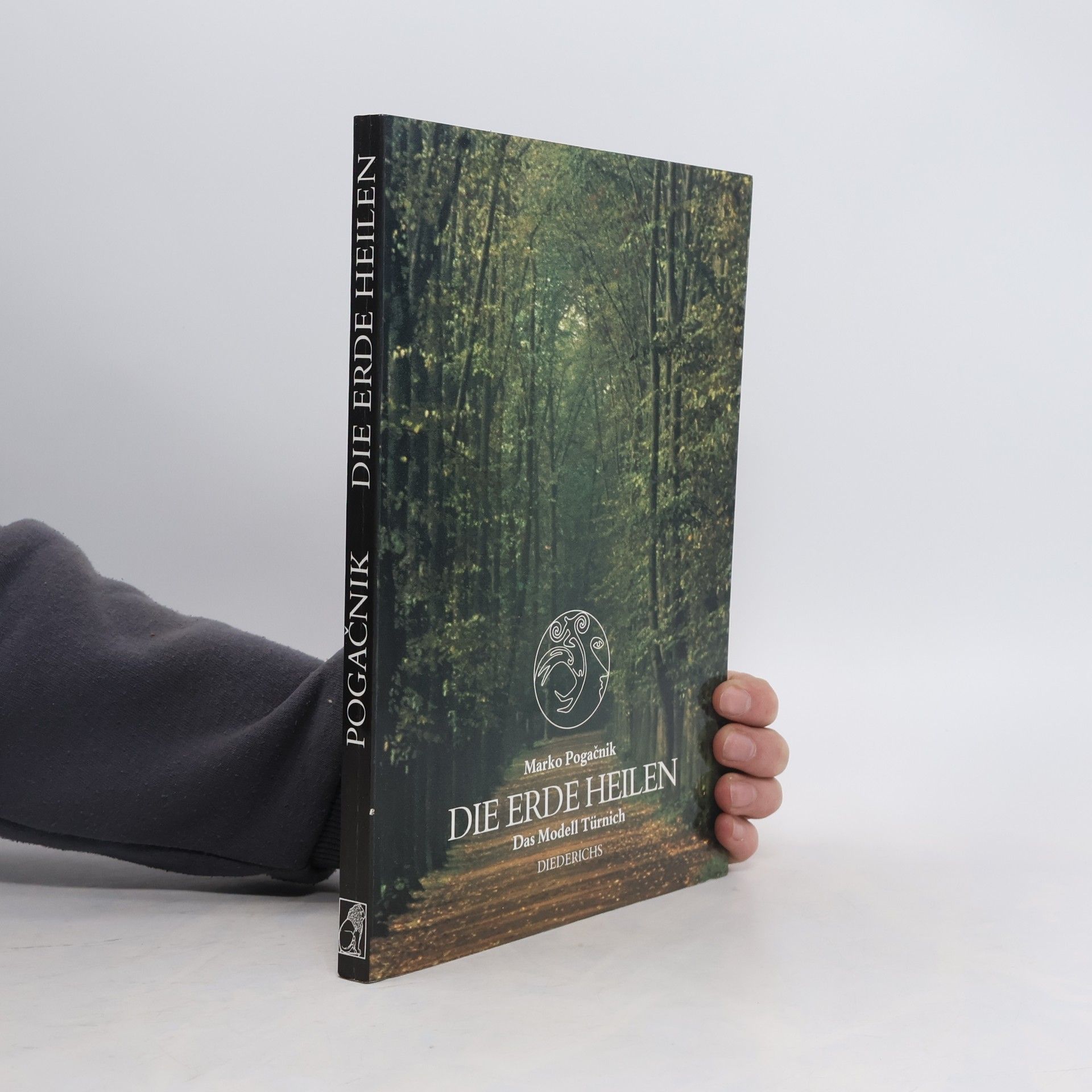 Marko Pogačnik Die Erde heilen