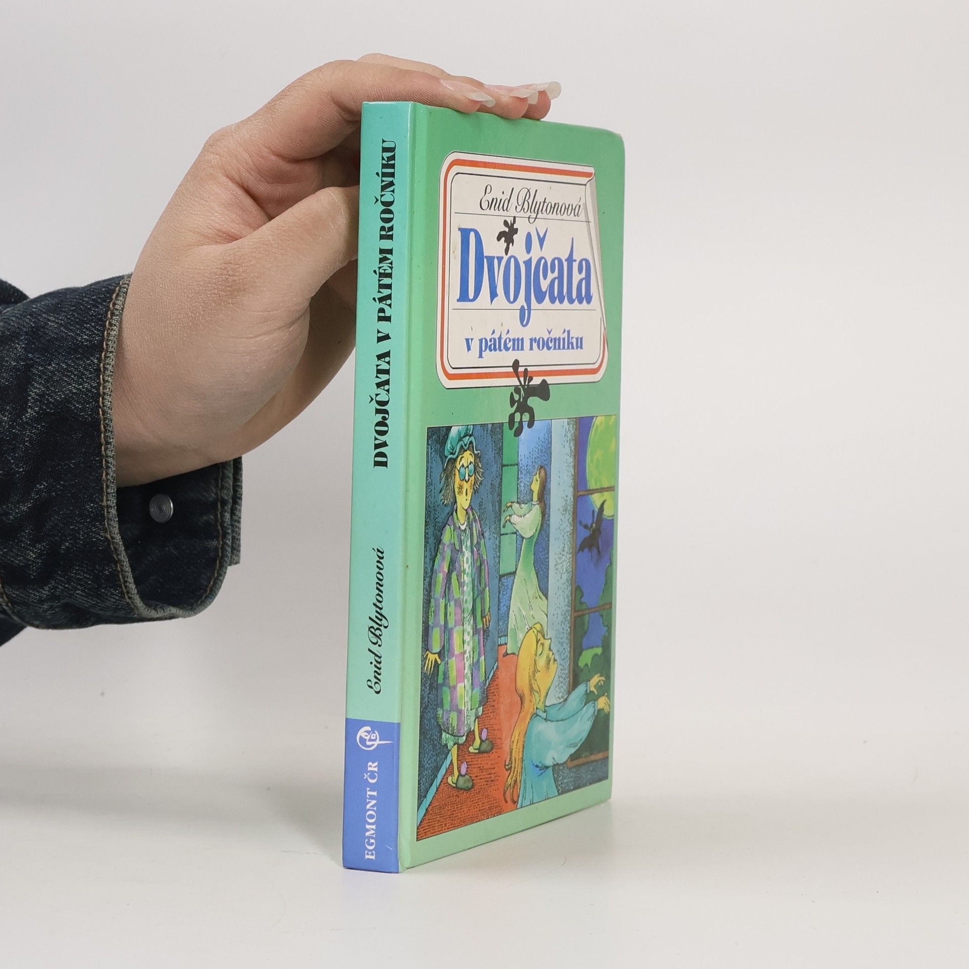 Enid Blyton Dvojčata v pátém ročníku