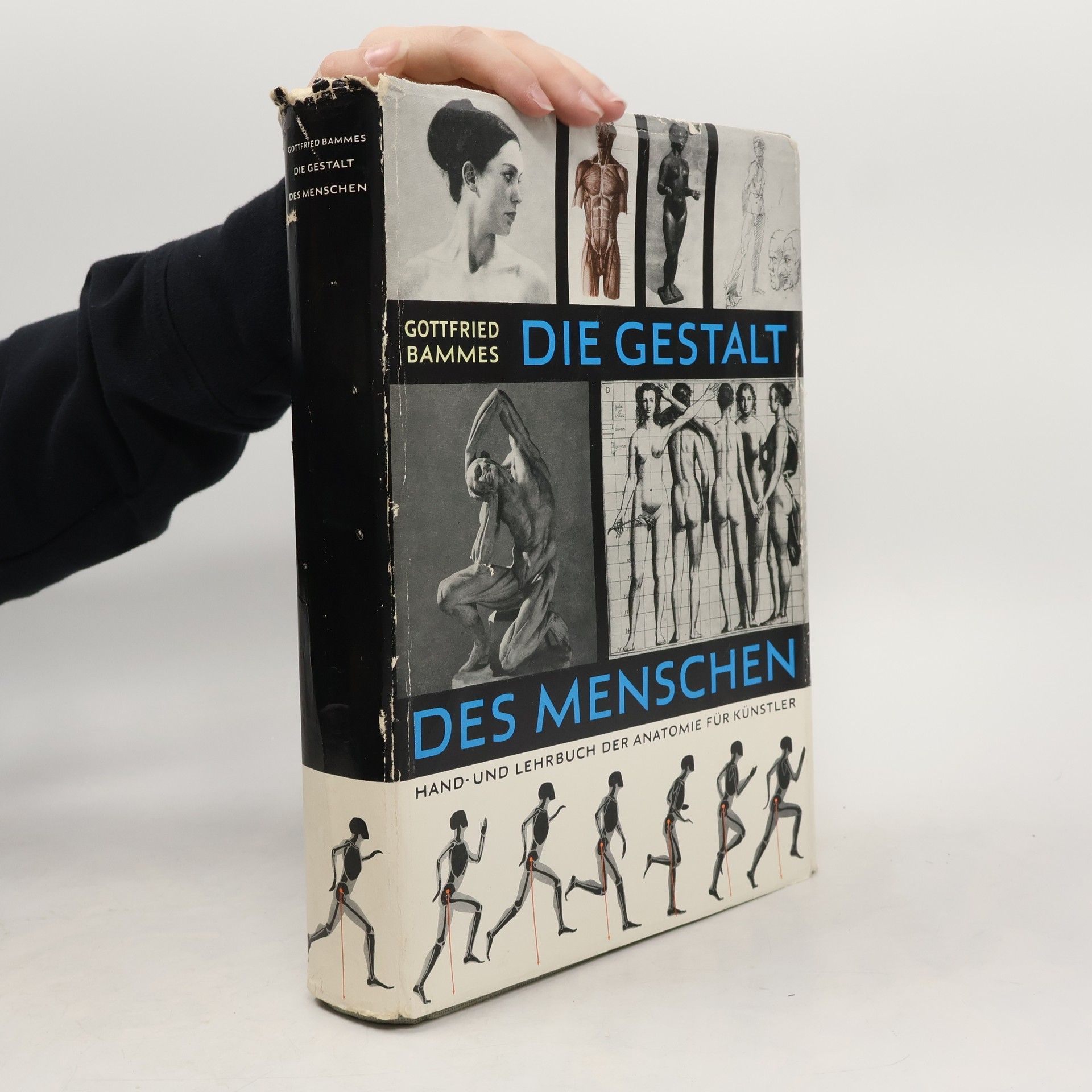 Gottfried Bammes Die Gestalt des Menschen