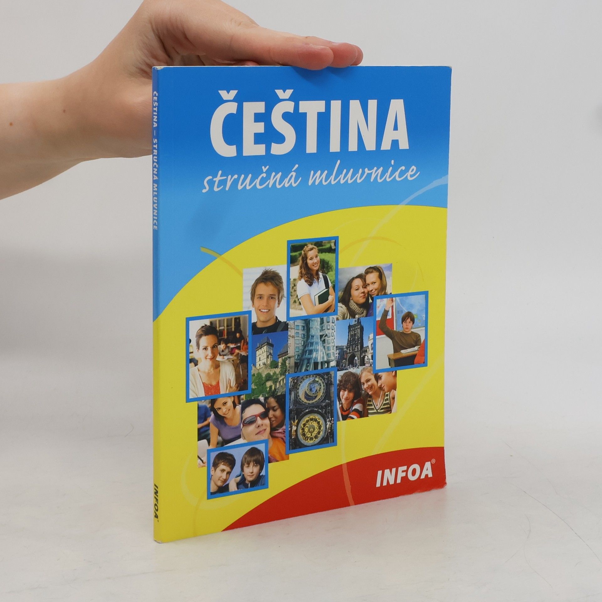 Čeština. Stručná mluvnice