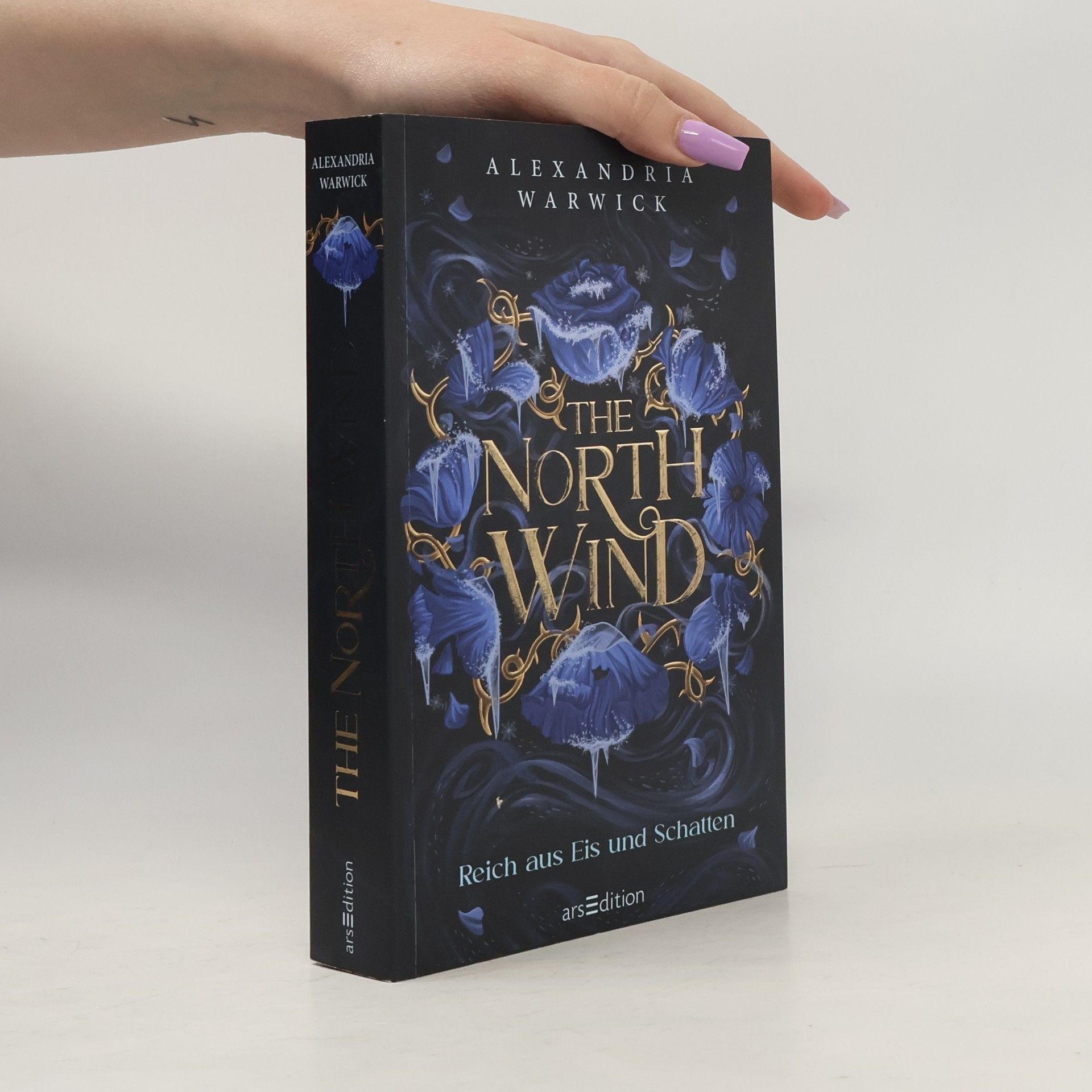 Alexandria Warwick The North Wind - Reich aus Eis und Schatten