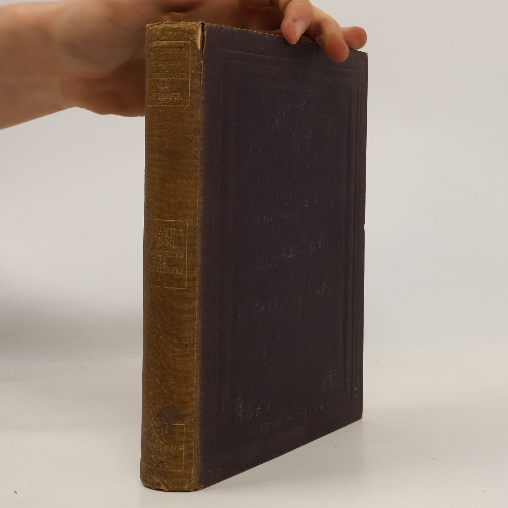 Autorenkollektiv Handbuch der speciellen Pathologie und Therapie 11