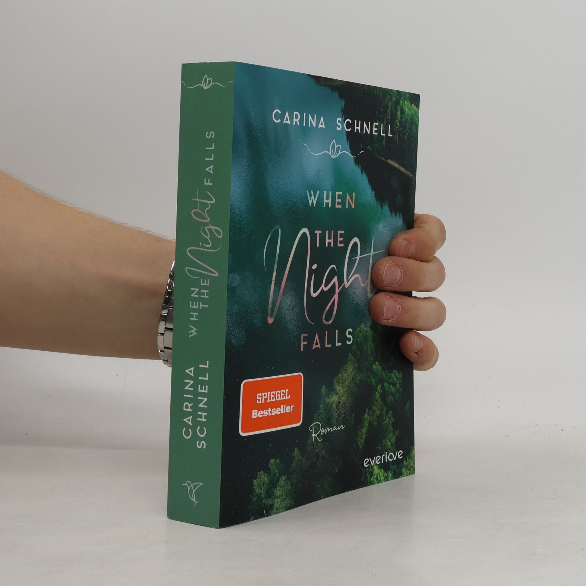 Carina Schnell When the Night Falls