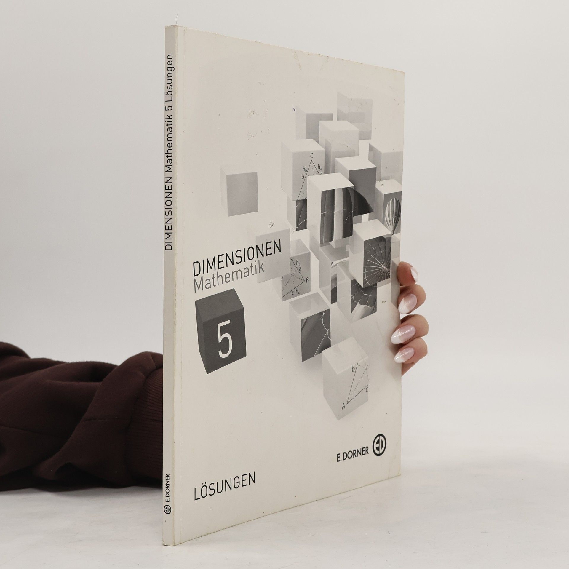 Auteurscollectief Dimensionen Mathematik 5. Lösungen