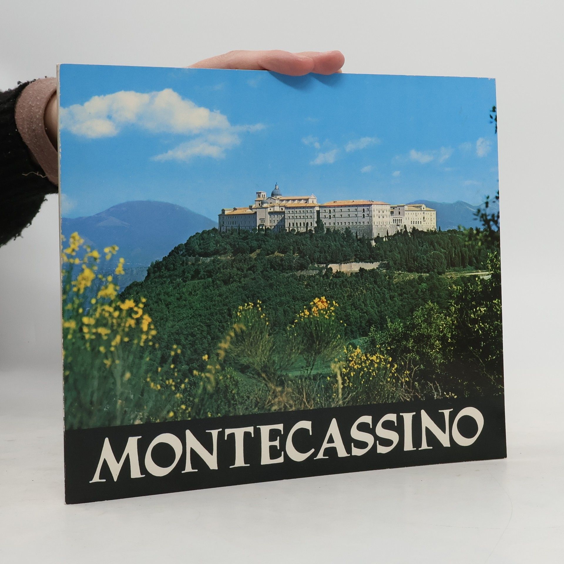 Kolektív autorov Montecassino
