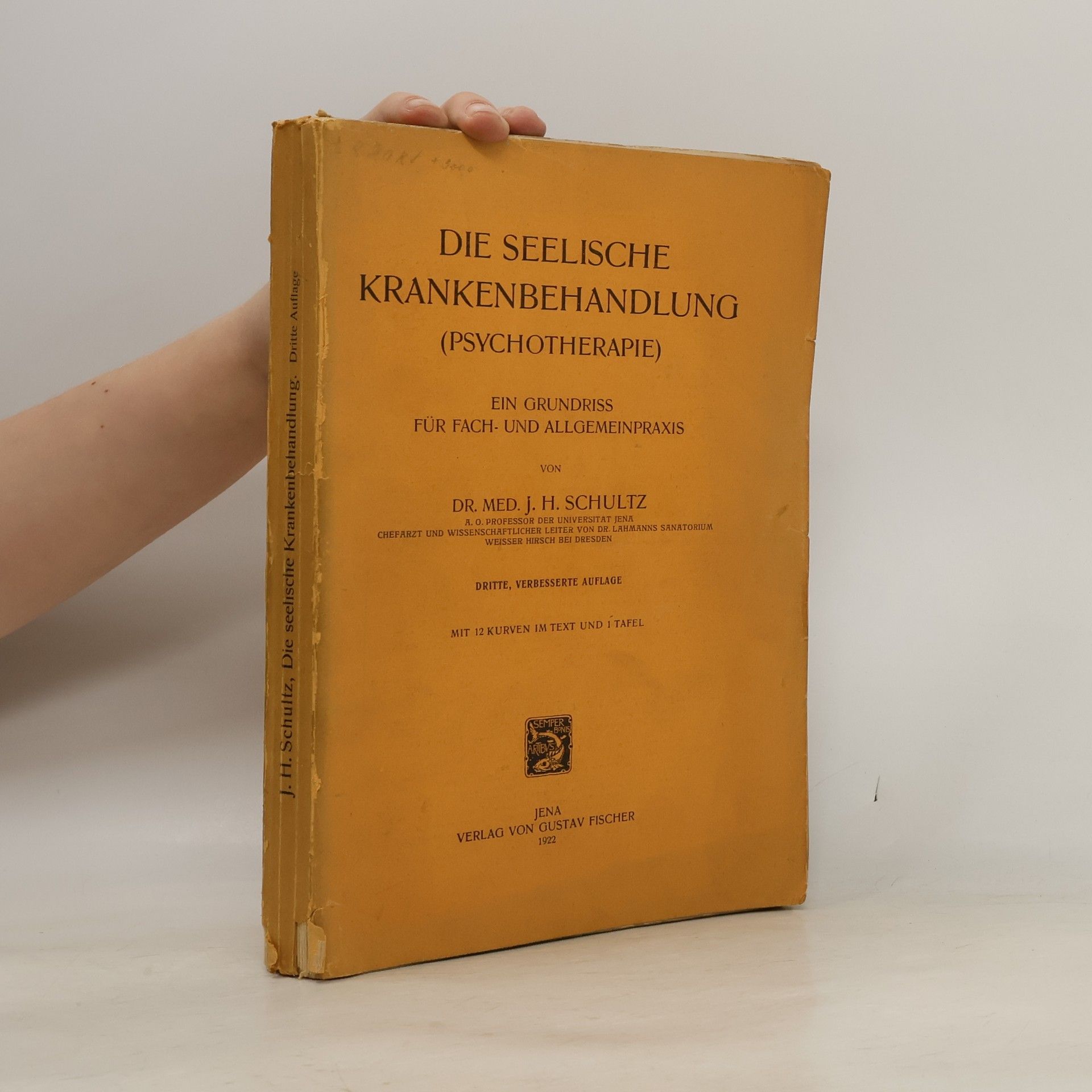 Die seelische Krankenbehandlung (Psychotherapie)