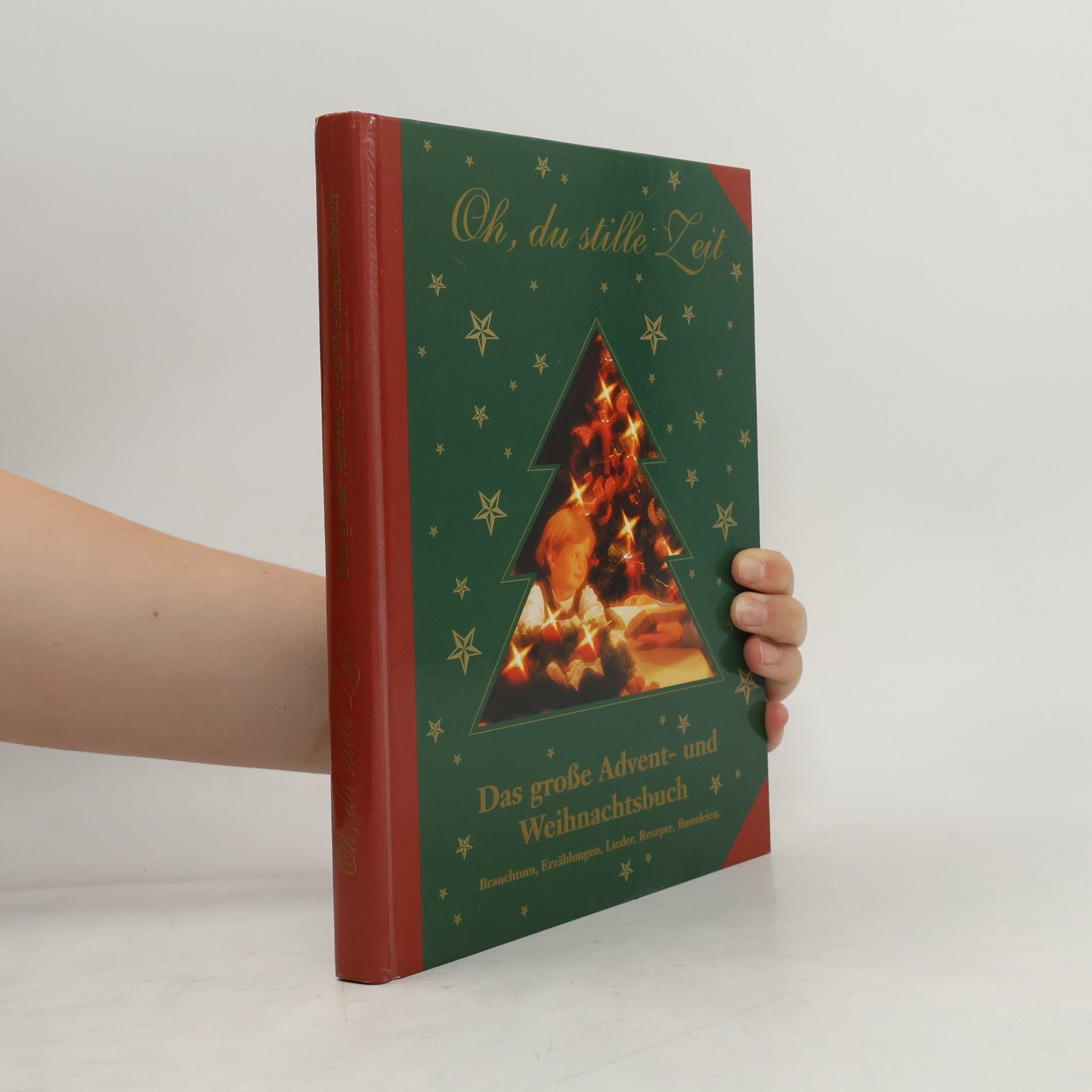 Autorenkollektiv Das große Advent- und Weihnachtsbuch