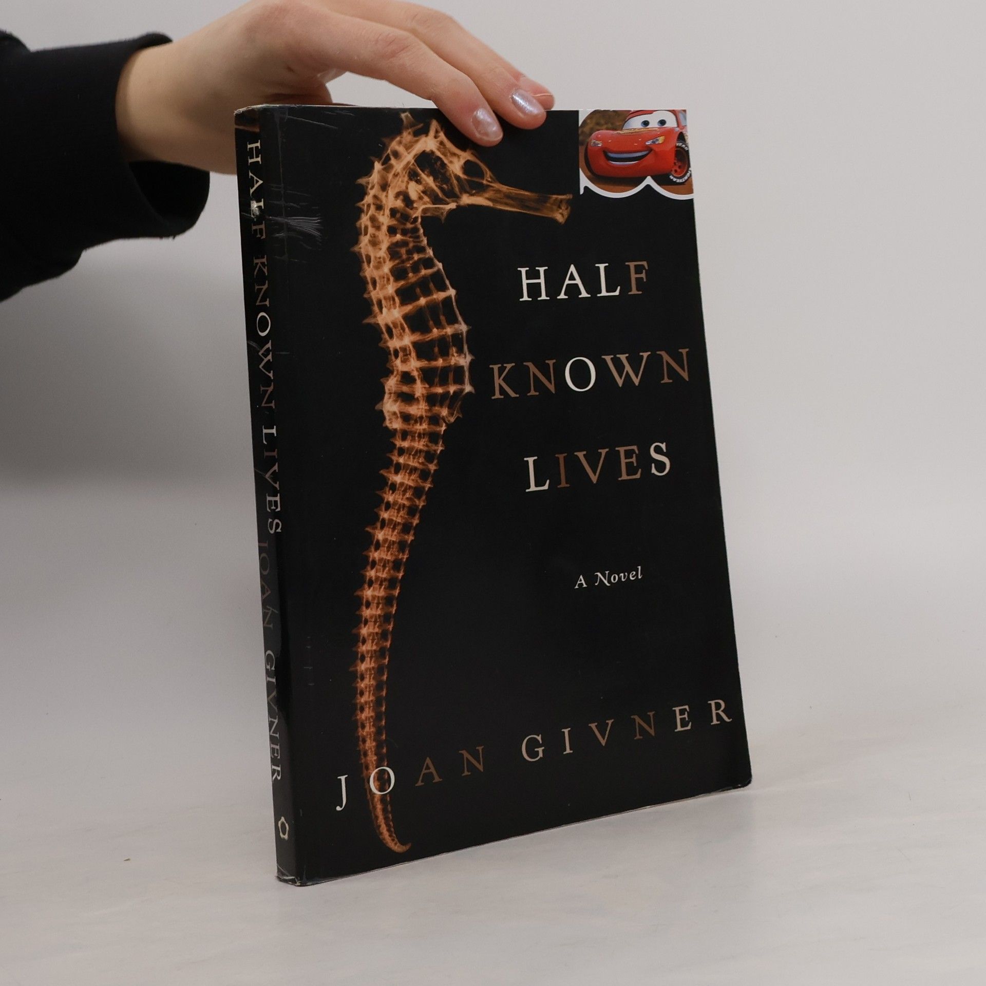Joan Givner Half Known Lives
