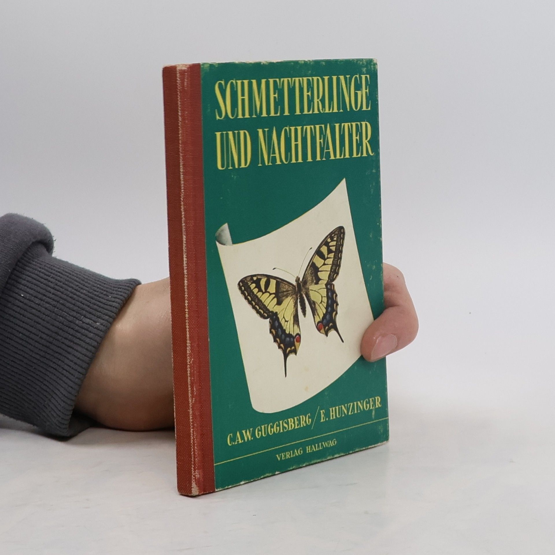 Schmetterlinge und Nachtfalter.