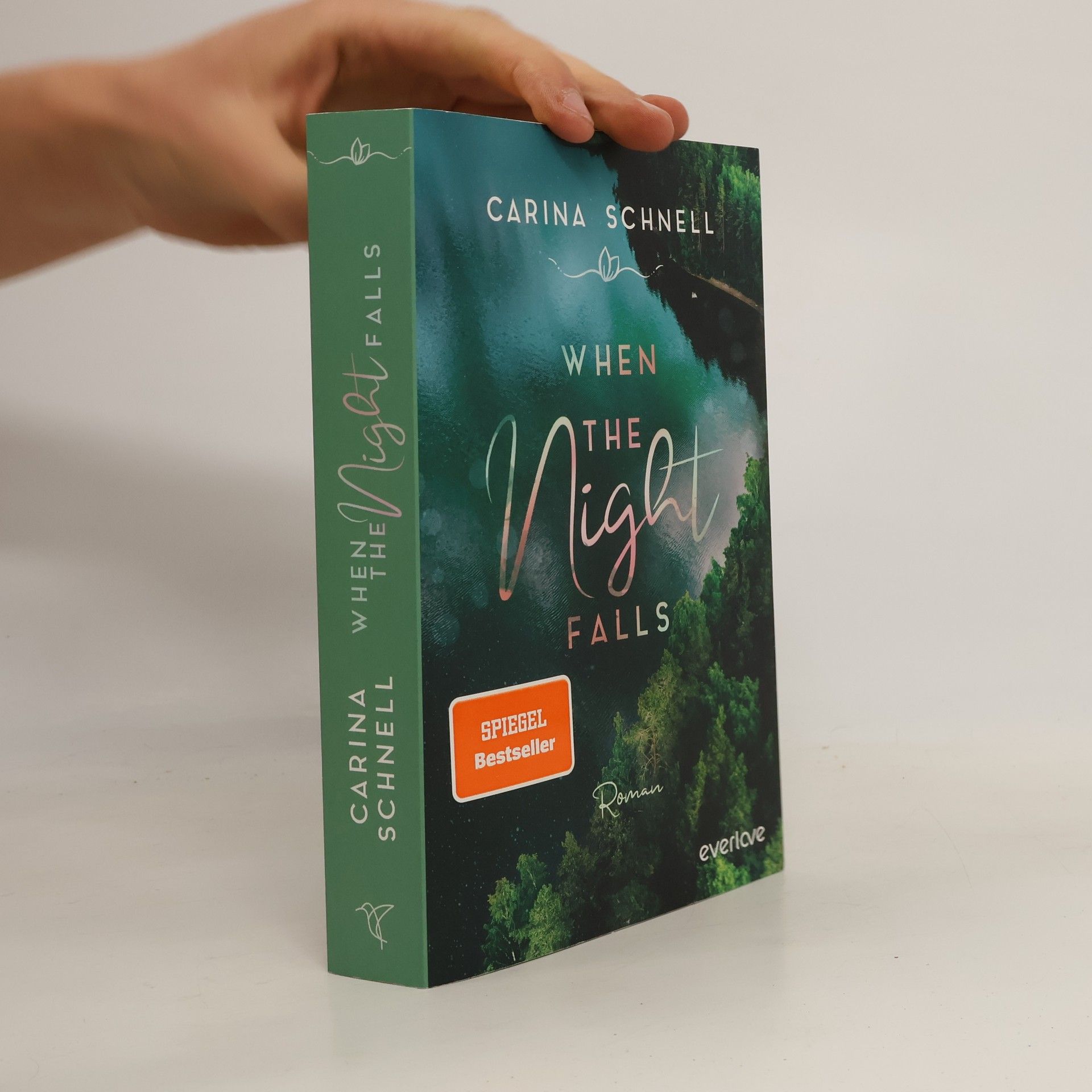 Carina Schnell When the Night Falls