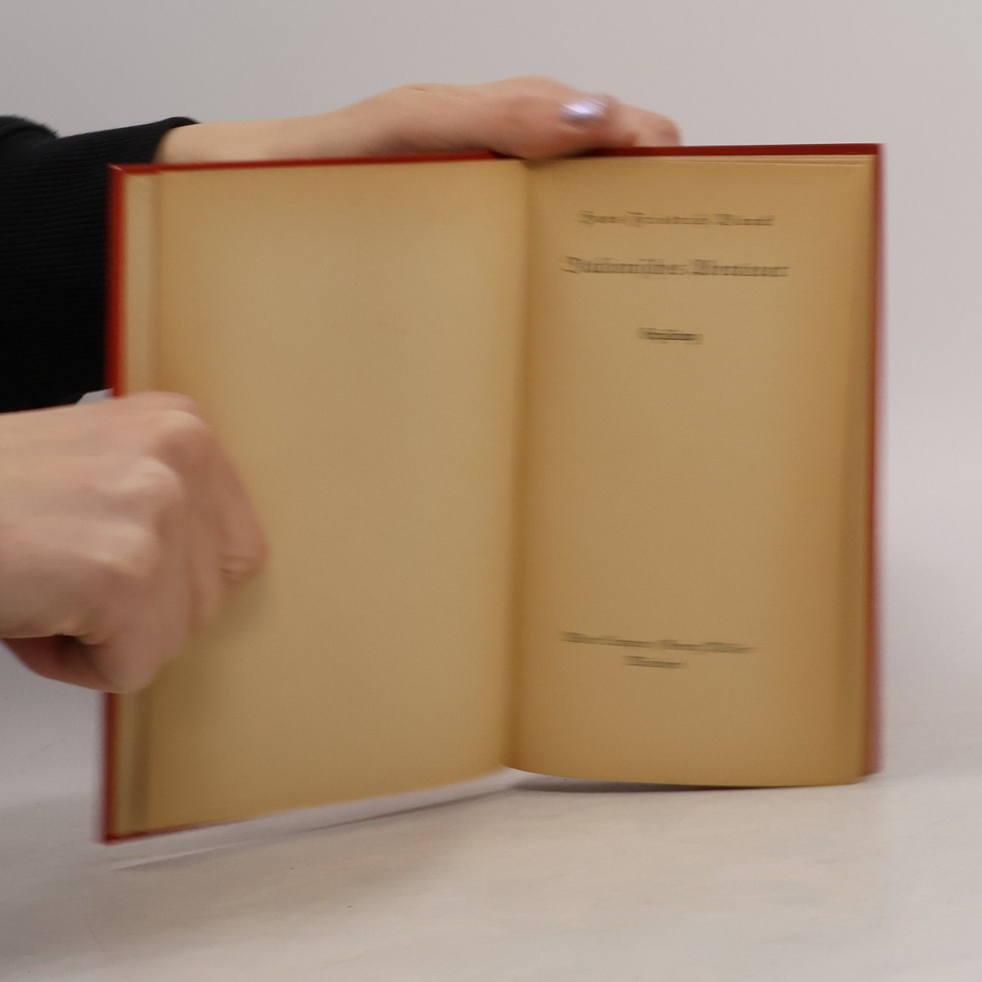 Hans Friedrich Blunck Italienisches Abenteuer
