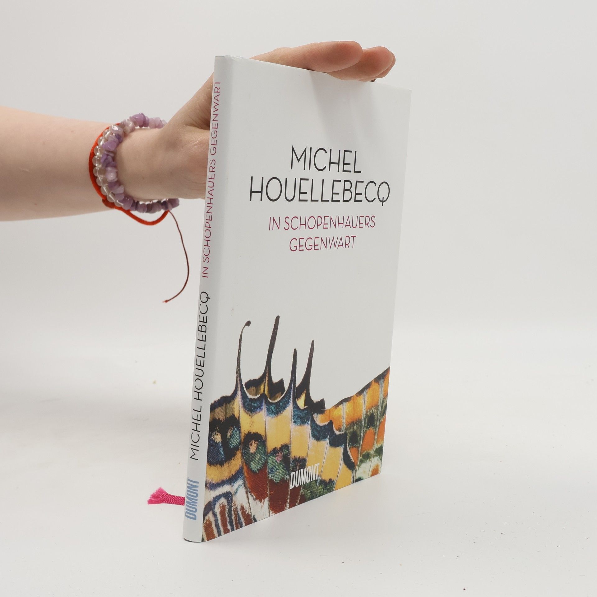 Michel Houellebecq In Schopenhauers Gegenwart