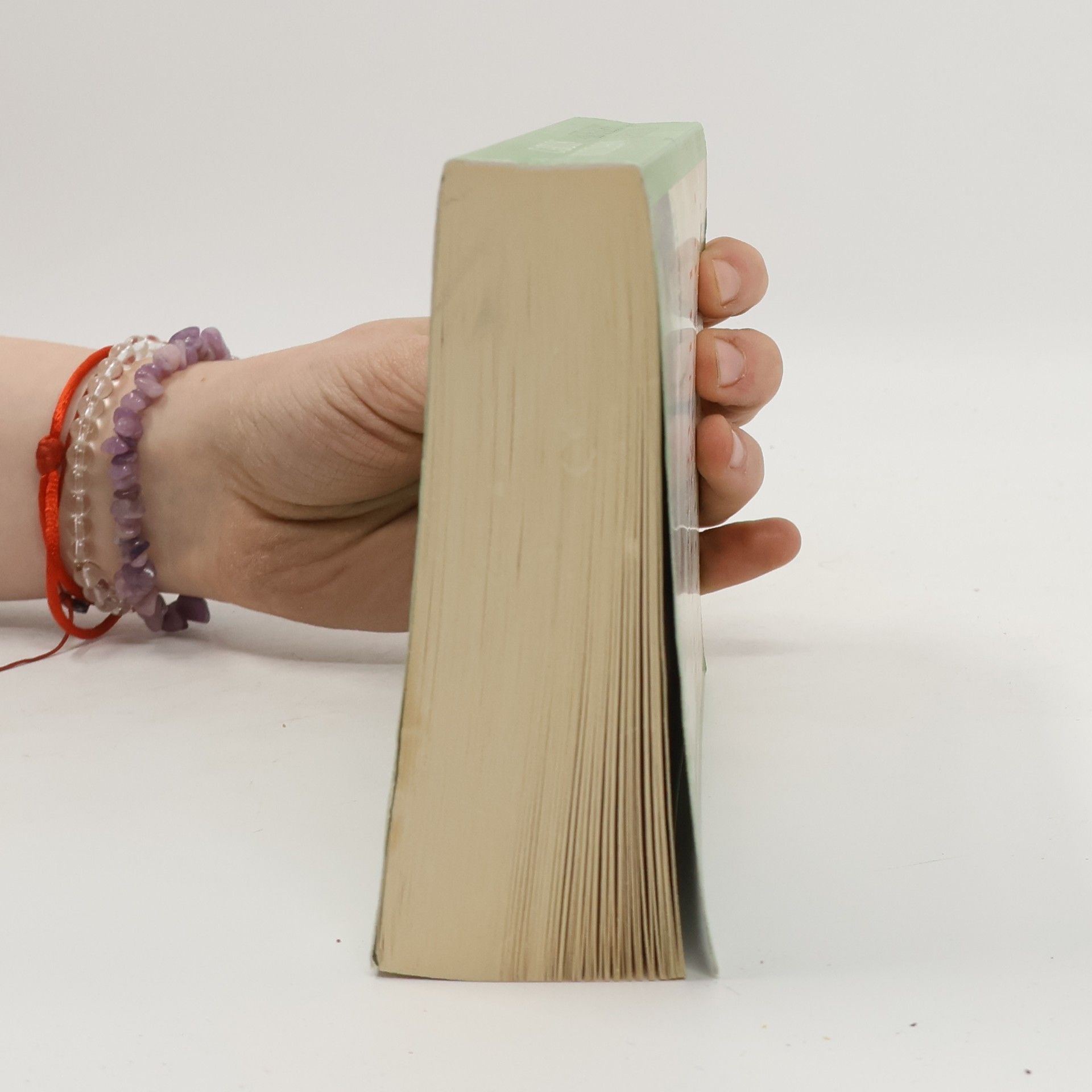 Carlos Ruiz Zafón Der Gefangene des Himmels