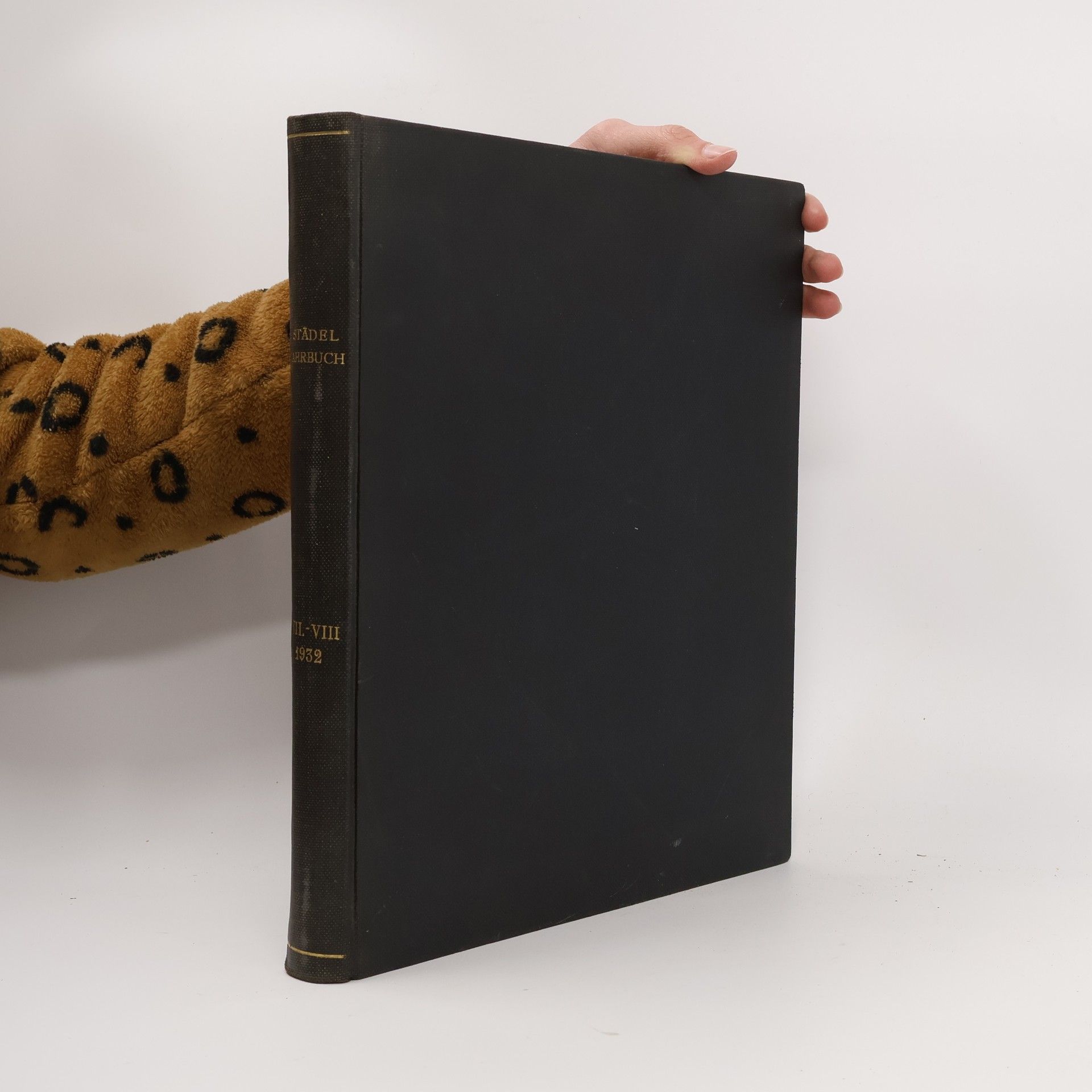 Alfred Wolters Städel Jahrbuch