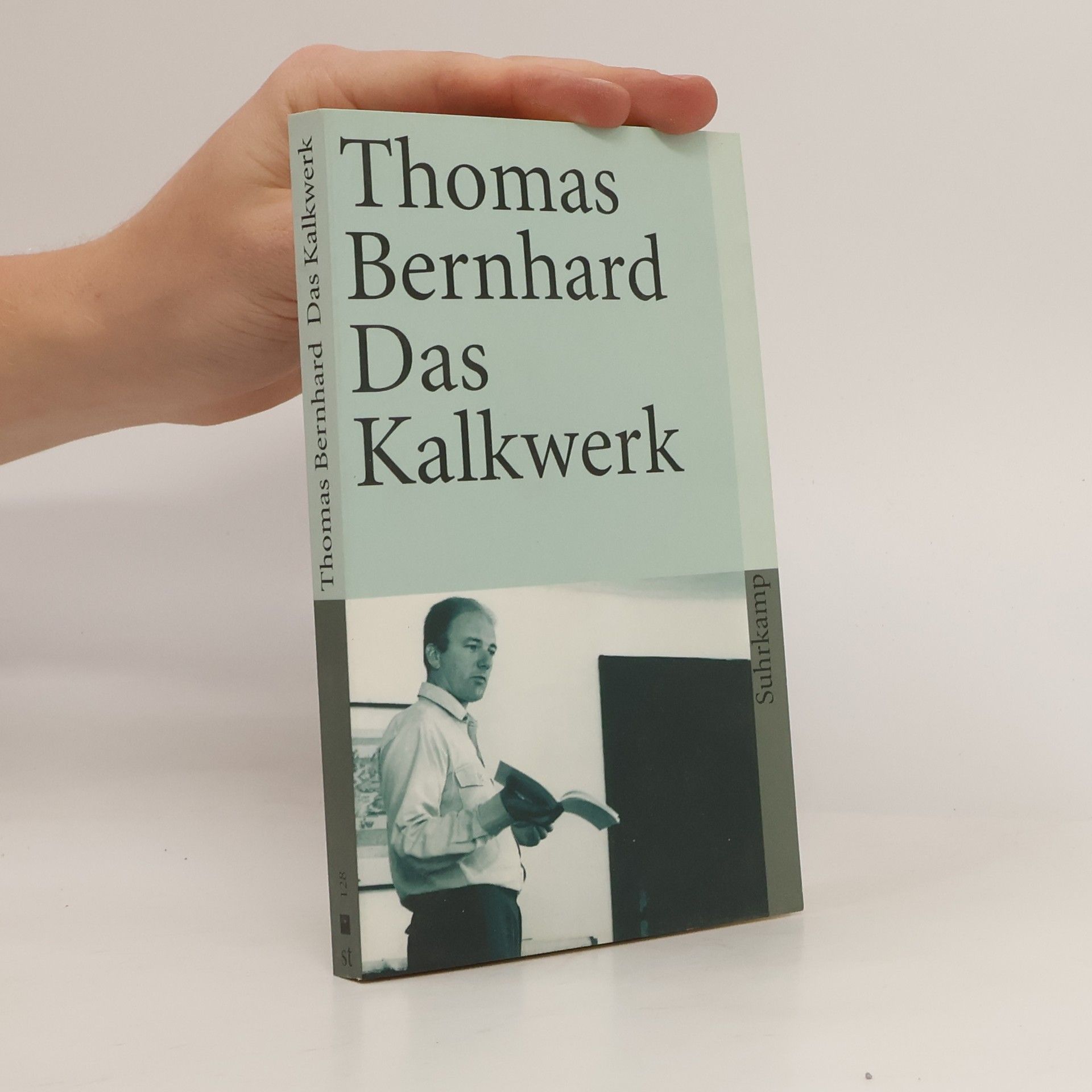 Thomas Bernhard Das Kalkwerk