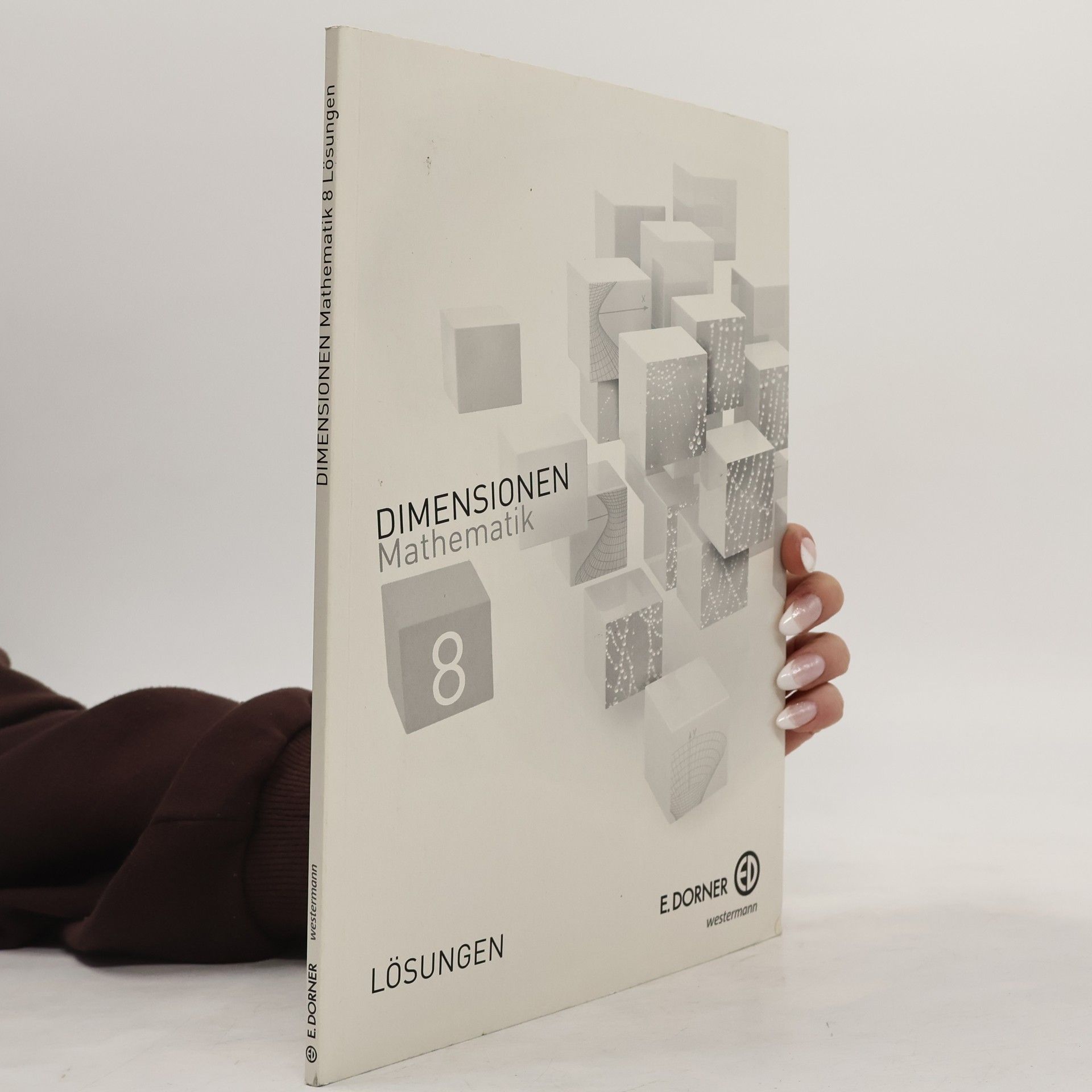Auteurscollectief Dimensionen Mathematik 8. Lösungen
